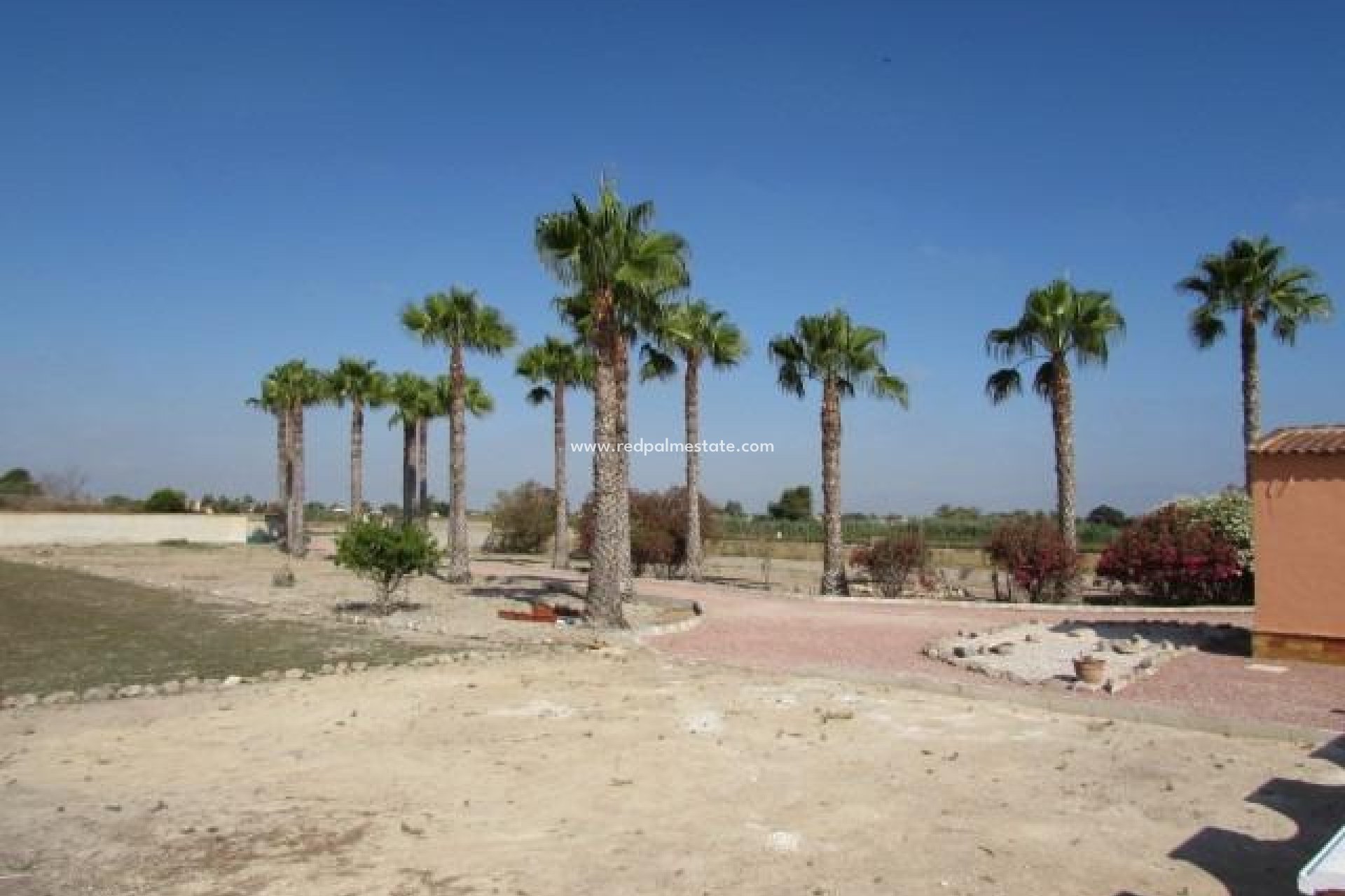 Revente - Finca / Propriété de campagne -
Dolores - Comunidad Valenciana