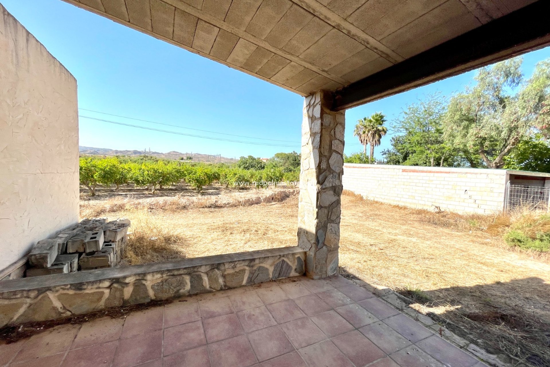 Revente - Finca / Propriété de campagne -
Elche - Costa Blanca