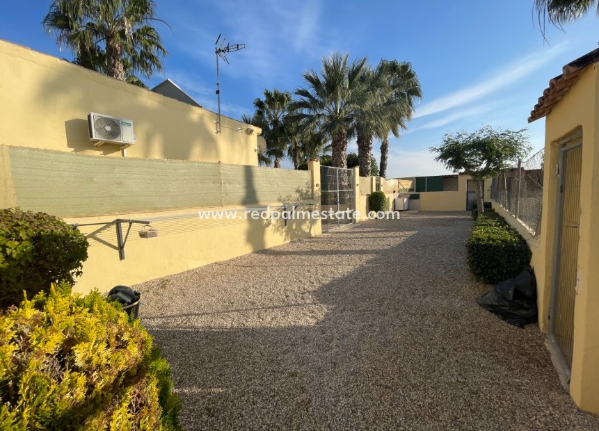 Revente - Finca / Propriété de campagne -
Elche - Costa Blanca