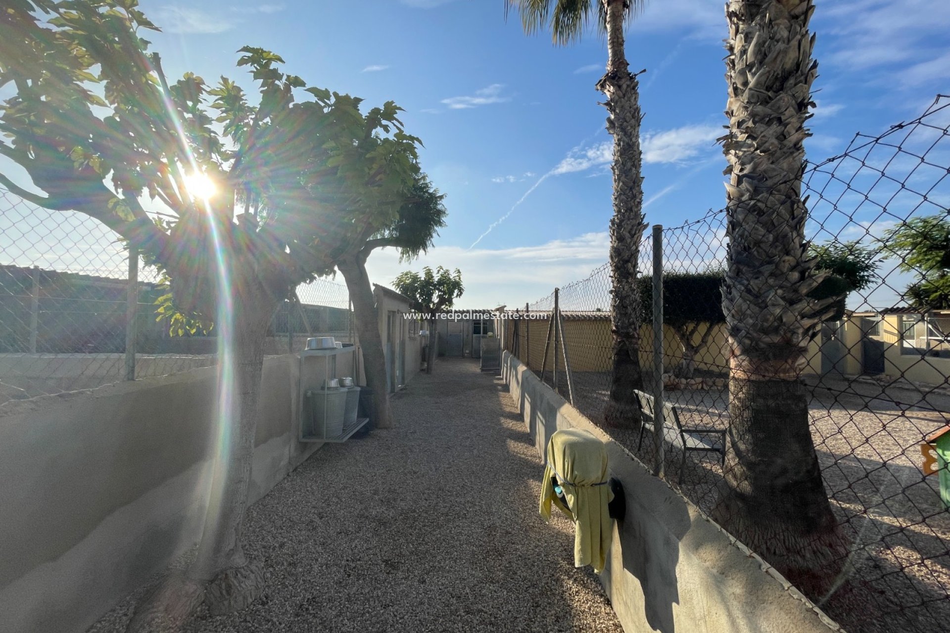 Revente - Finca / Propriété de campagne -
Elche - Costa Blanca