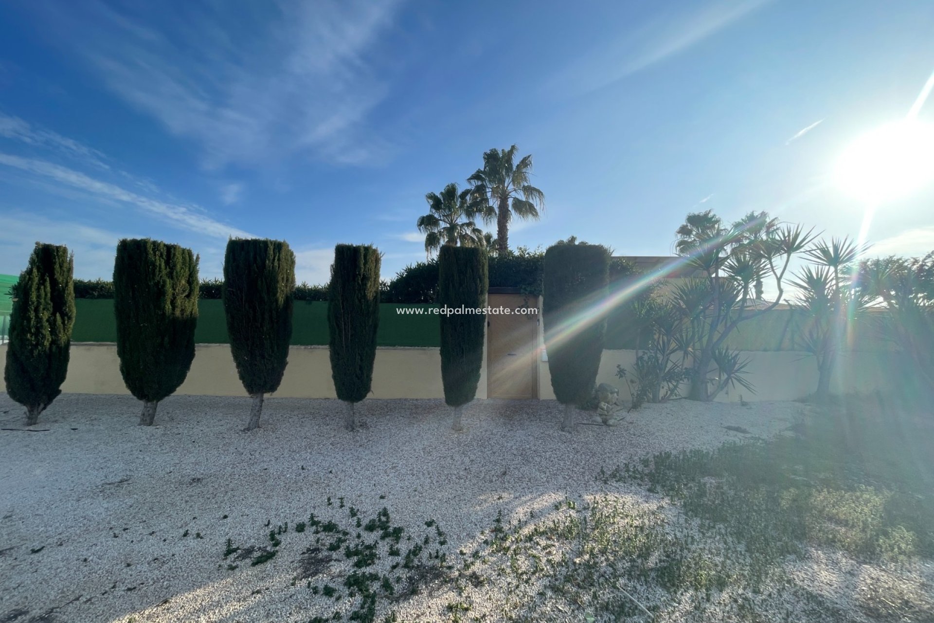 Revente - Finca / Propriété de campagne -
Elche - Costa Blanca