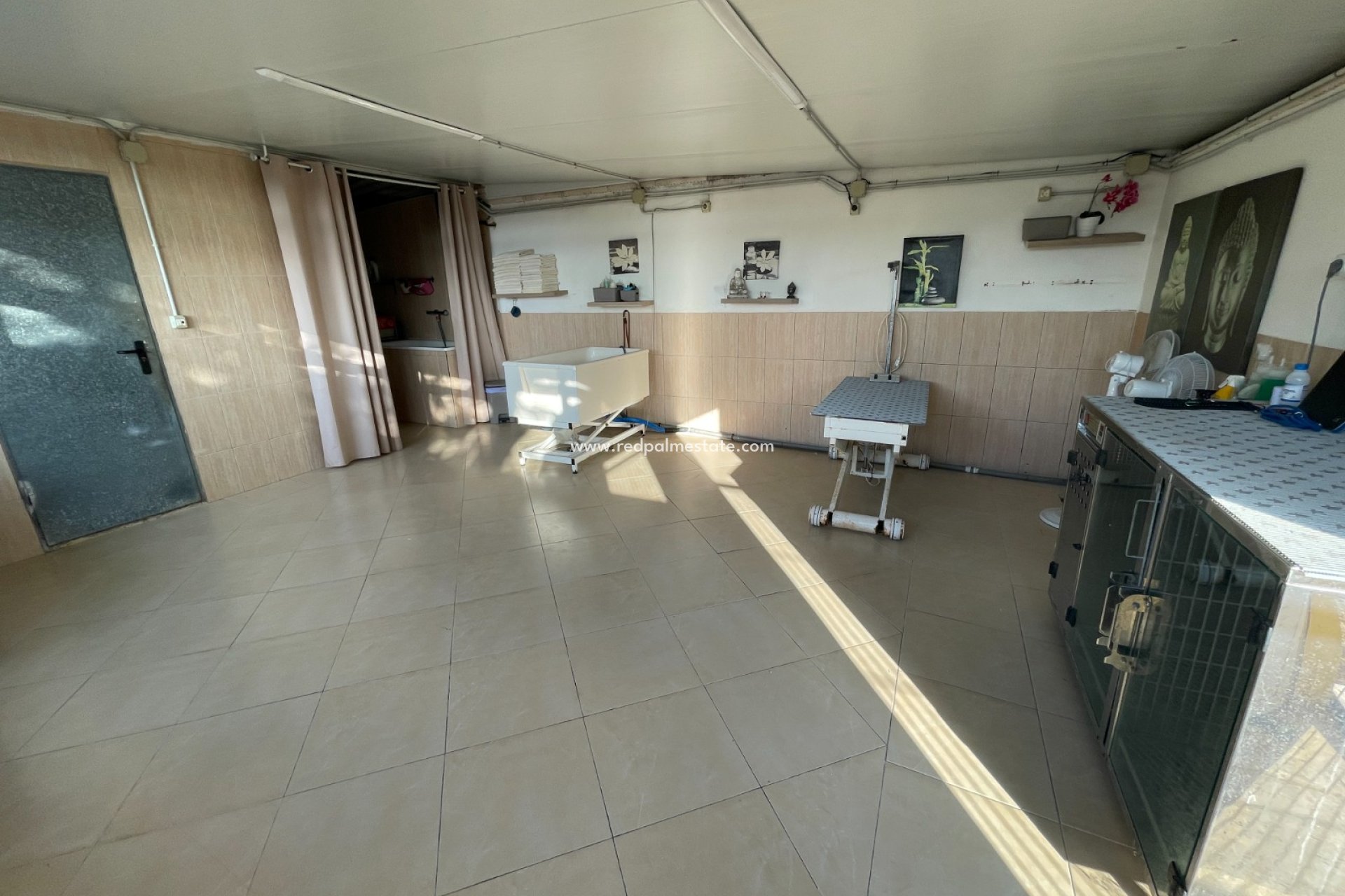 Revente - Finca / Propriété de campagne -
Elche - Costa Blanca