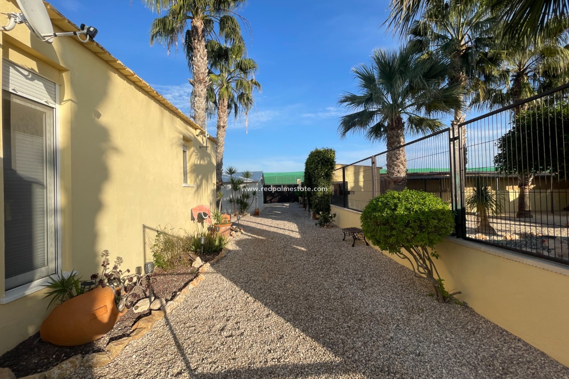 Revente - Finca / Propriété de campagne -
Elche - Costa Blanca