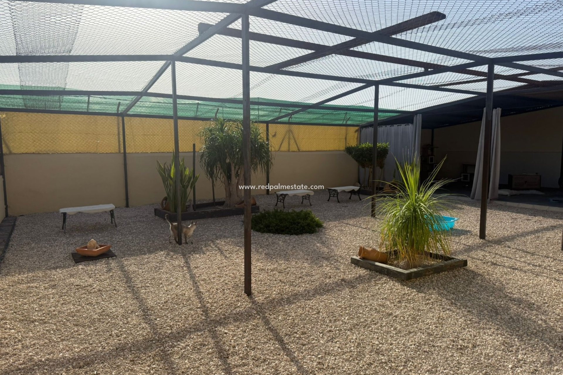 Revente - Finca / Propriété de campagne -
Elche - Costa Blanca