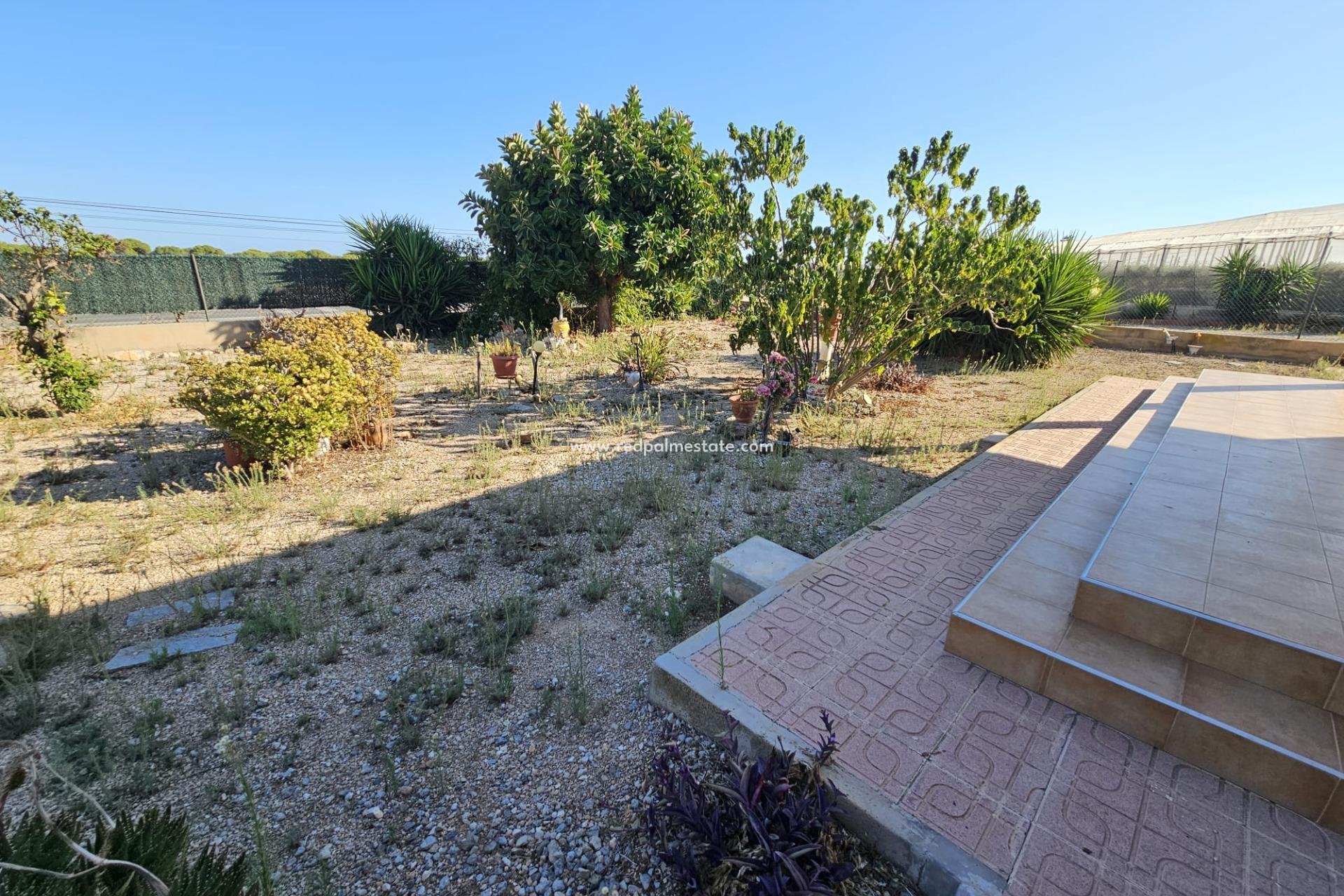 Revente - Finca / Propriété de campagne -
Guardamar del Segura - Buenavista
