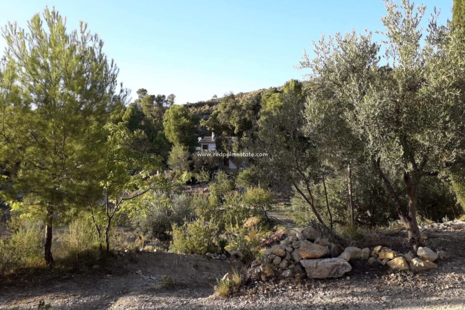 Revente - Finca / Propriété de campagne -
Jijona - Costa Blanca