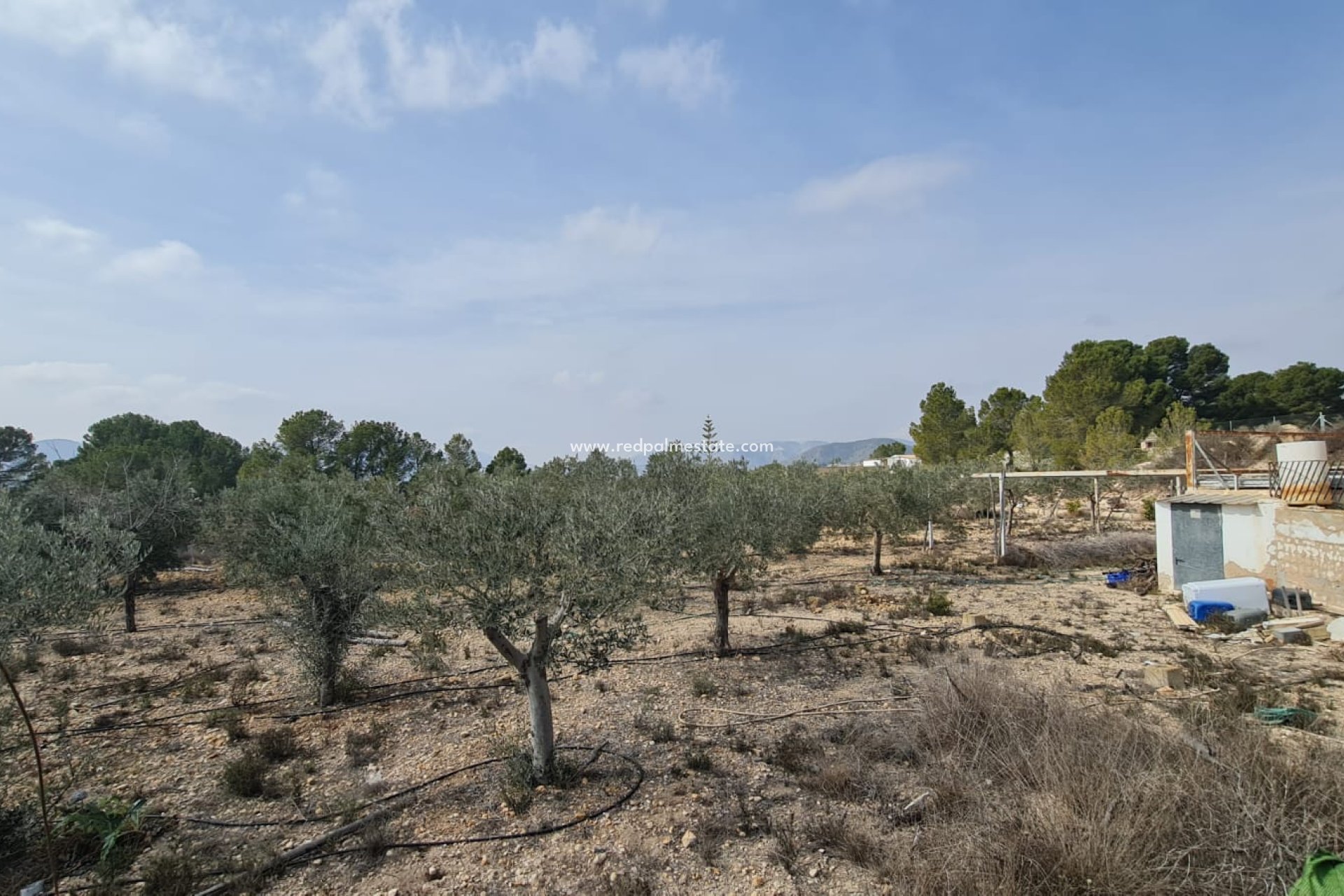Revente - Finca / Propriété de campagne -
La Romana - Inland