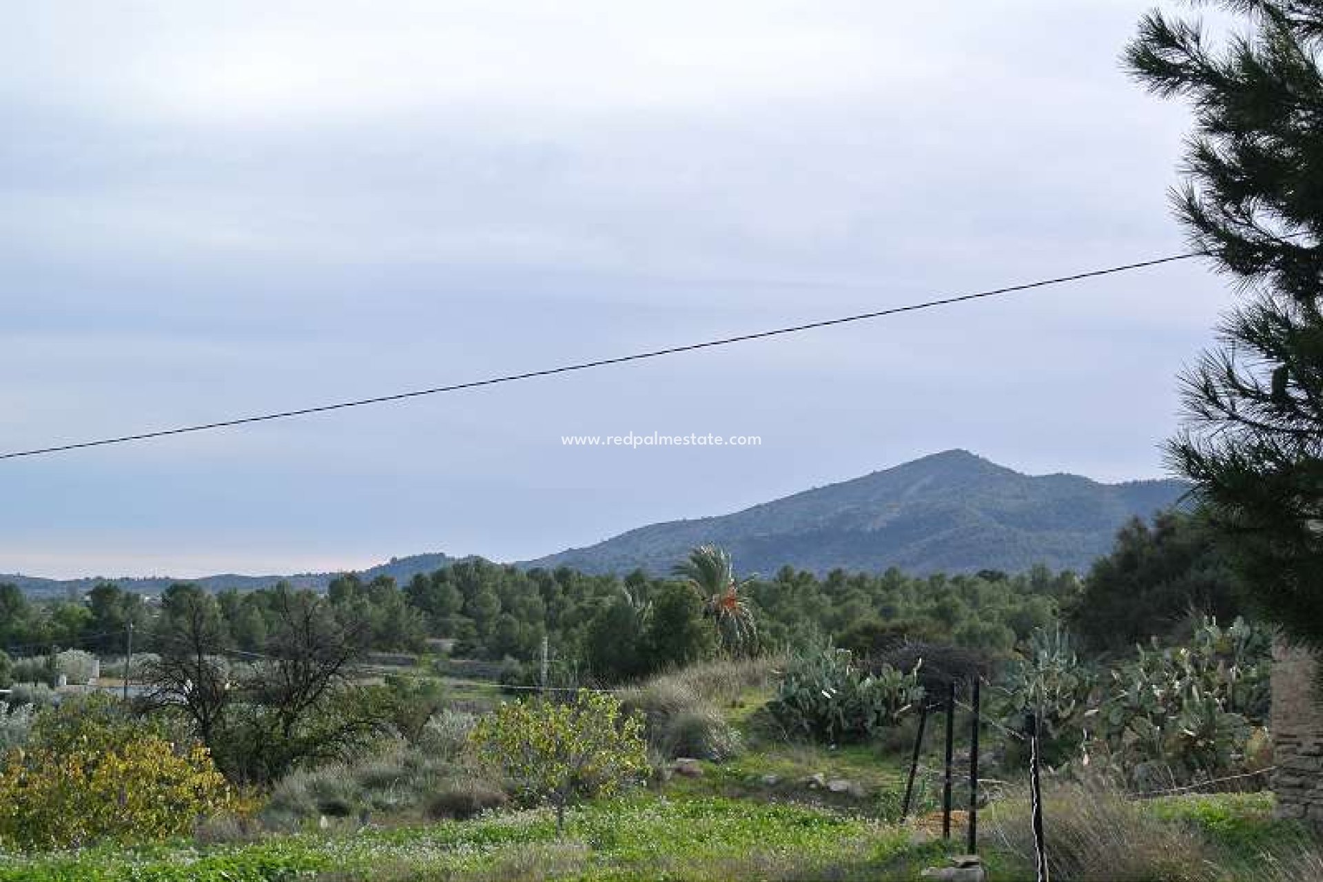 Revente - Finca / Propriété de campagne -
Monóvar/Monóver - Inland