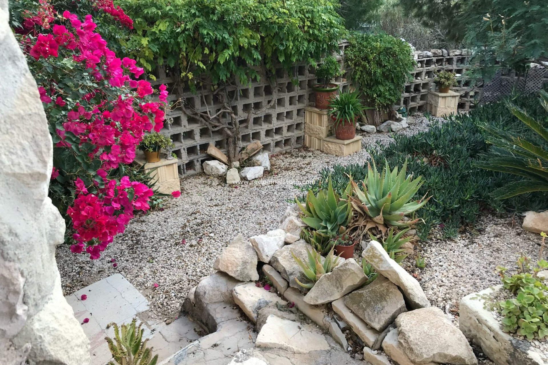 Revente - Finca / Propriété de campagne -
Monóvar/Monóver - Inland