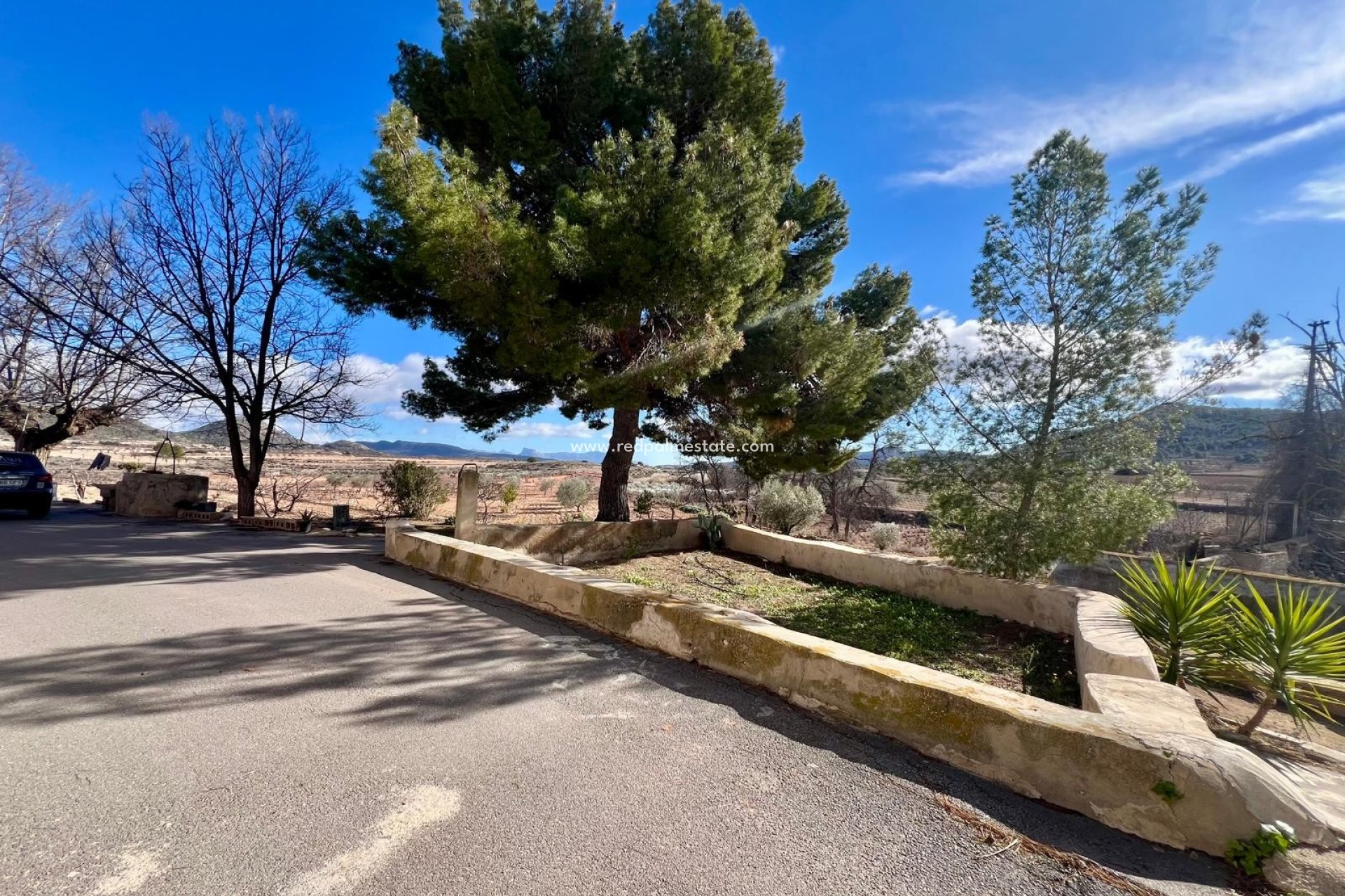 Revente - Finca / Propriété de campagne -
Monóvar/Monóver - Inland