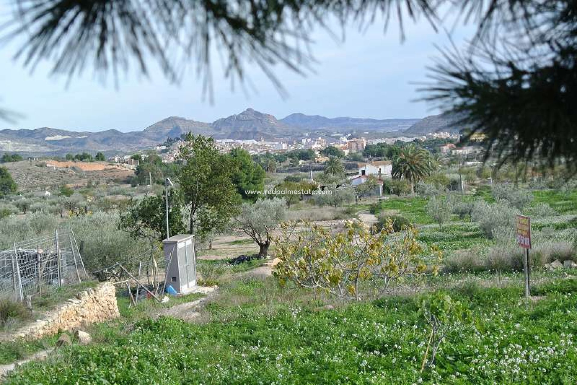 Revente - Finca / Propriété de campagne -
Monóvar/Monóver - Inland