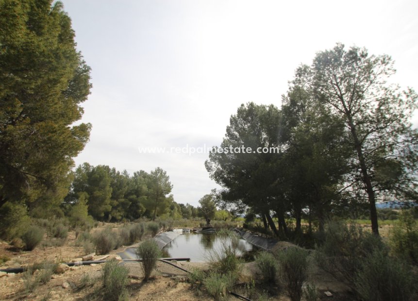 Revente - Finca / Propriété de campagne -
Monóvar/Monóver - Inland