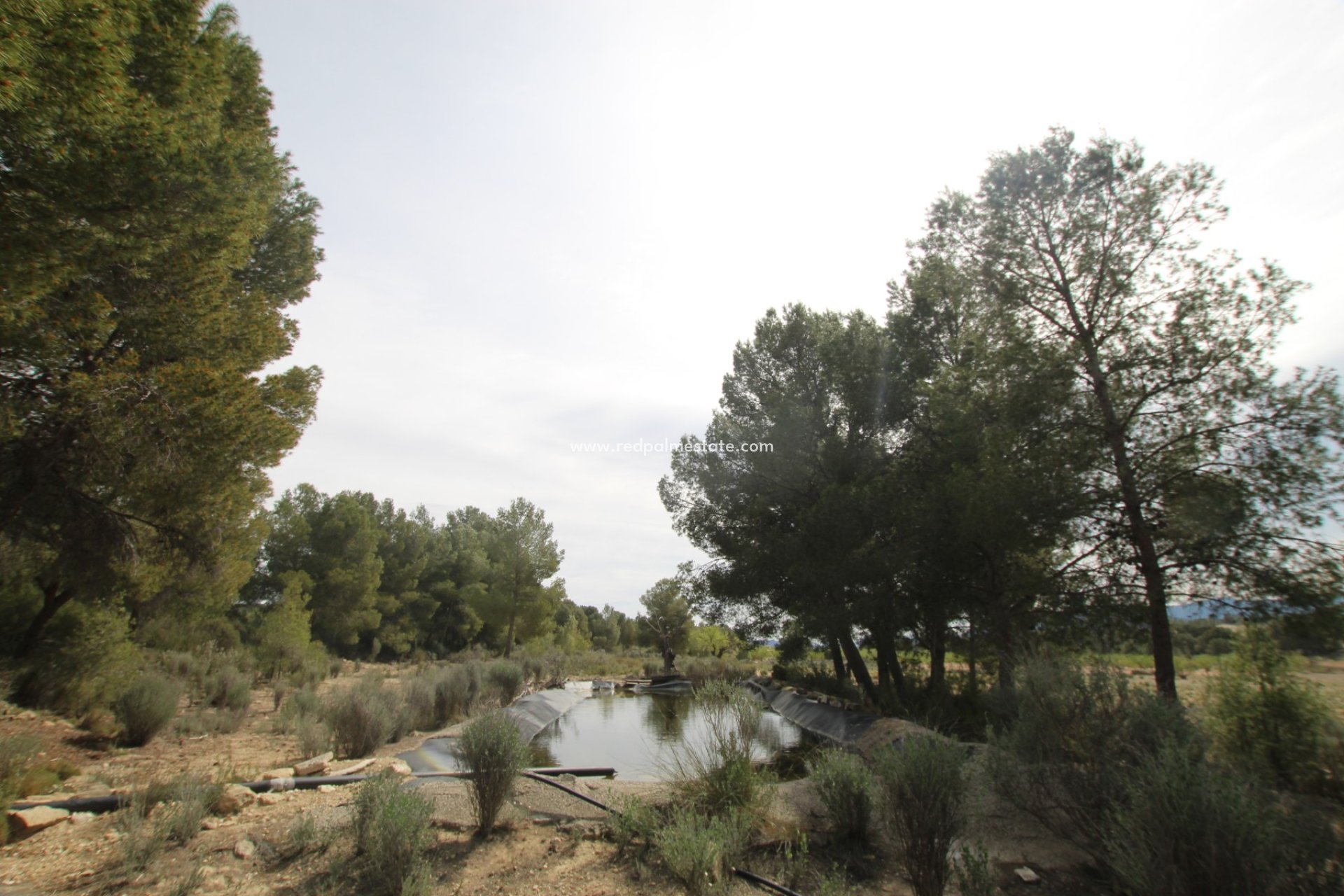 Revente - Finca / Propriété de campagne -
Monóvar/Monóver - Inland