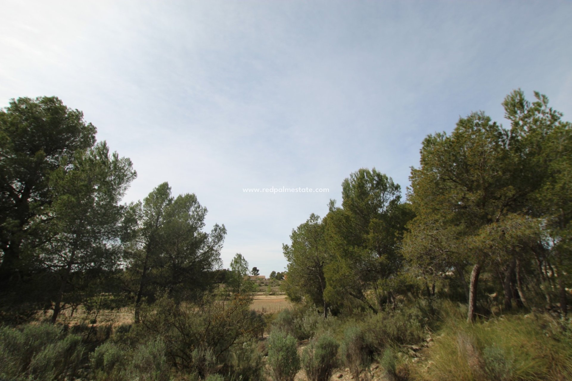 Revente - Finca / Propriété de campagne -
Monóvar/Monóver - Inland