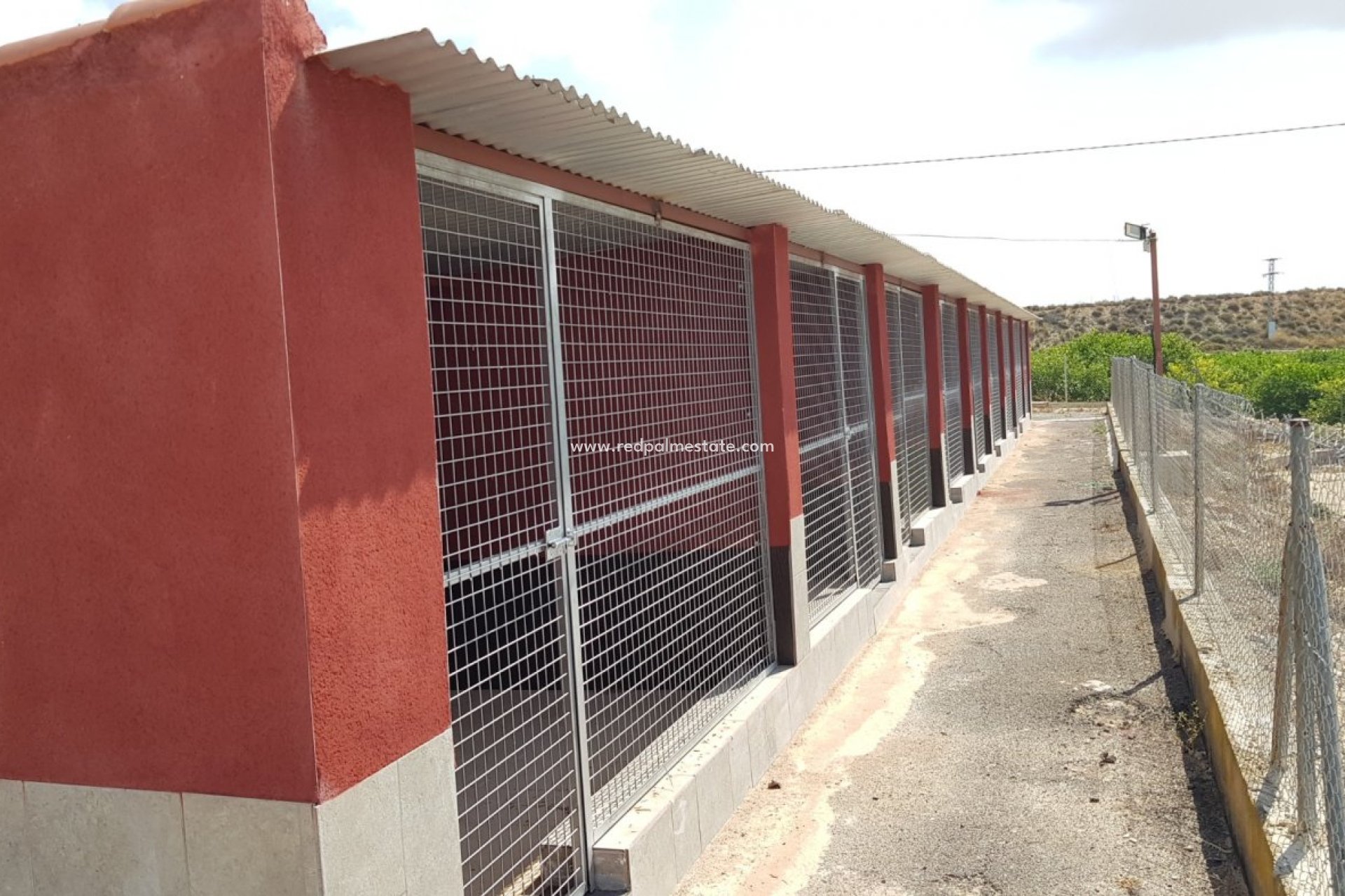 Revente - Finca / Propriété de campagne -
Montesinos - Los Montesinos