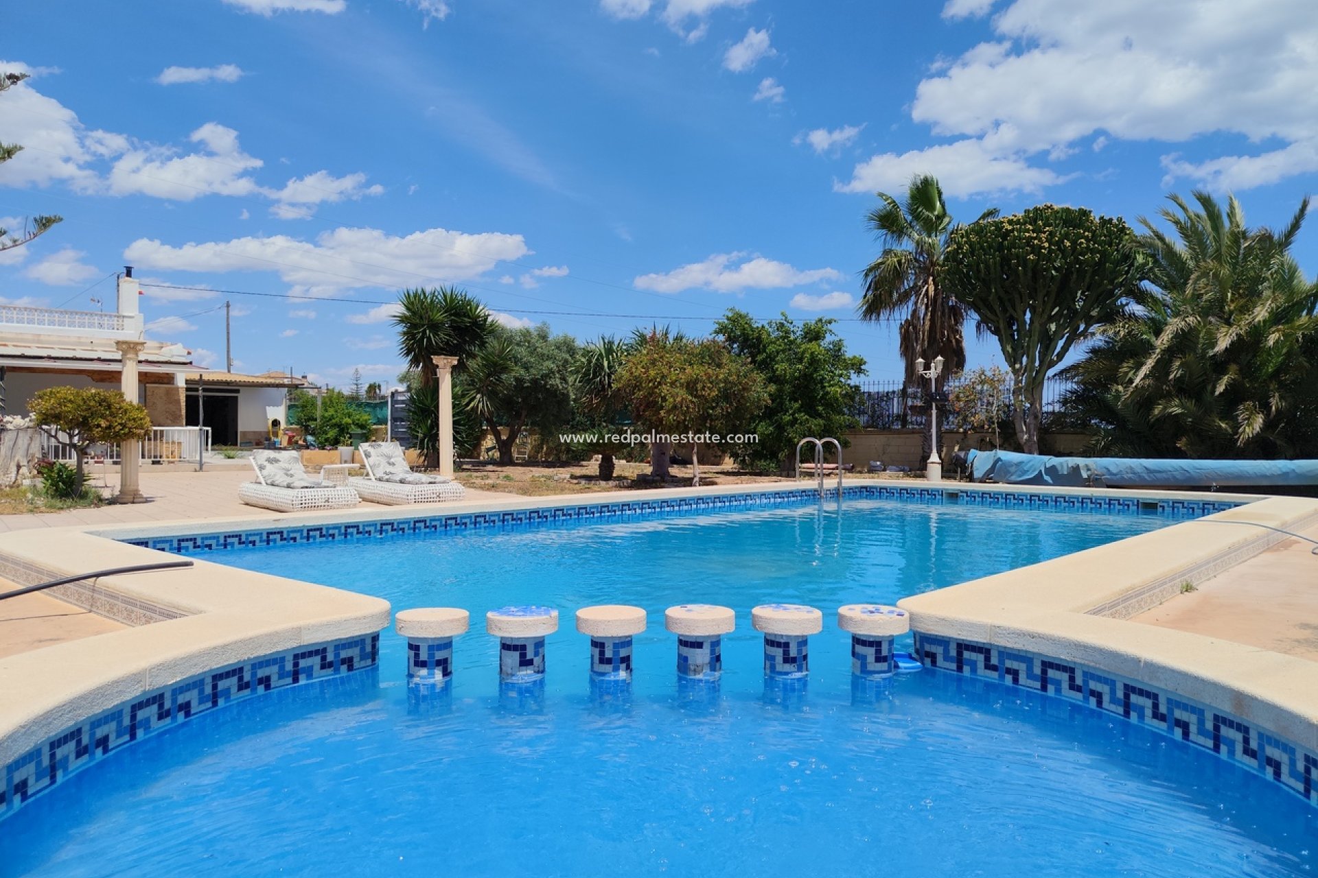 Revente - Finca / Propriété de campagne -
Montesinos - Los Montesinos