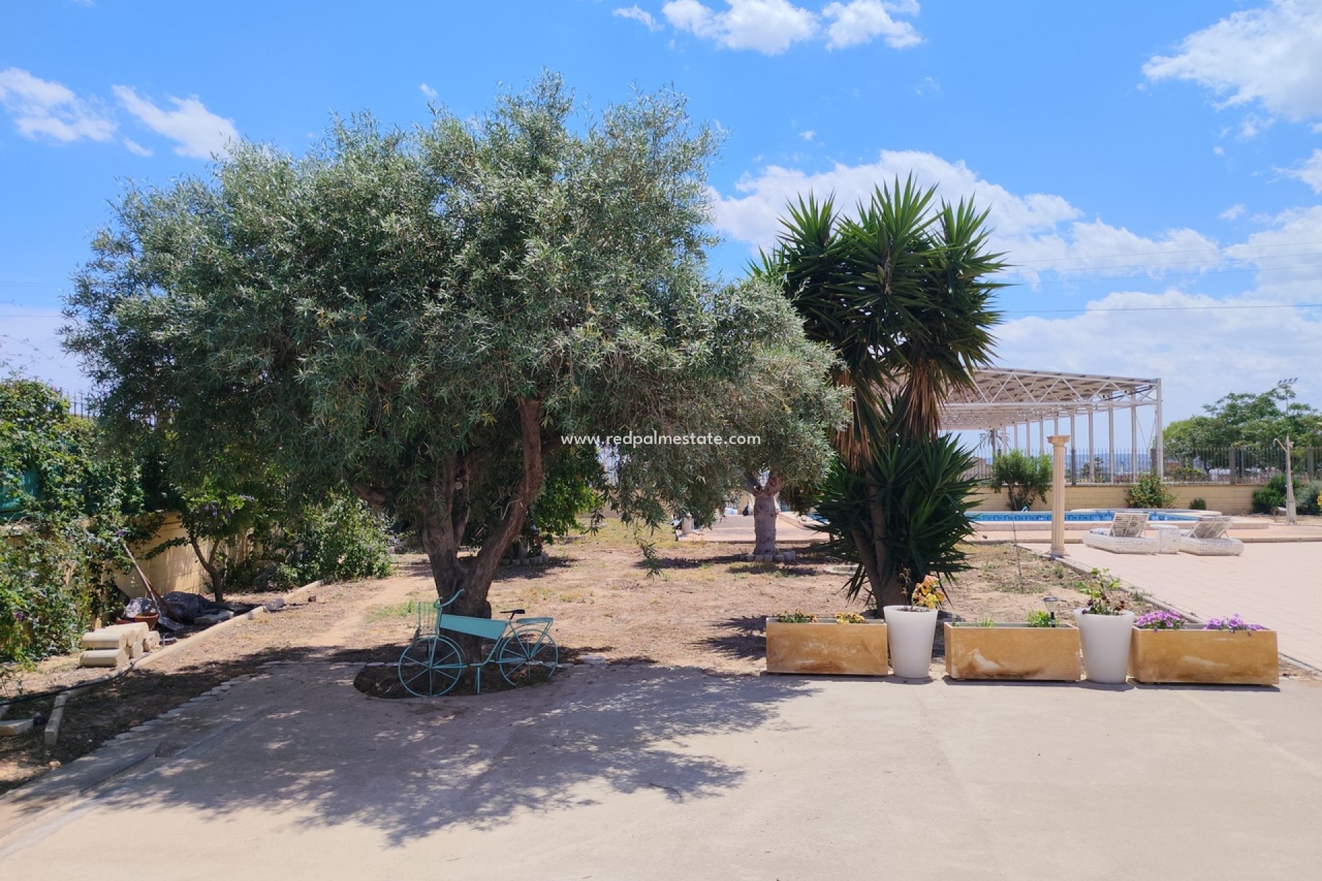 Revente - Finca / Propriété de campagne -
Montesinos - Los Montesinos