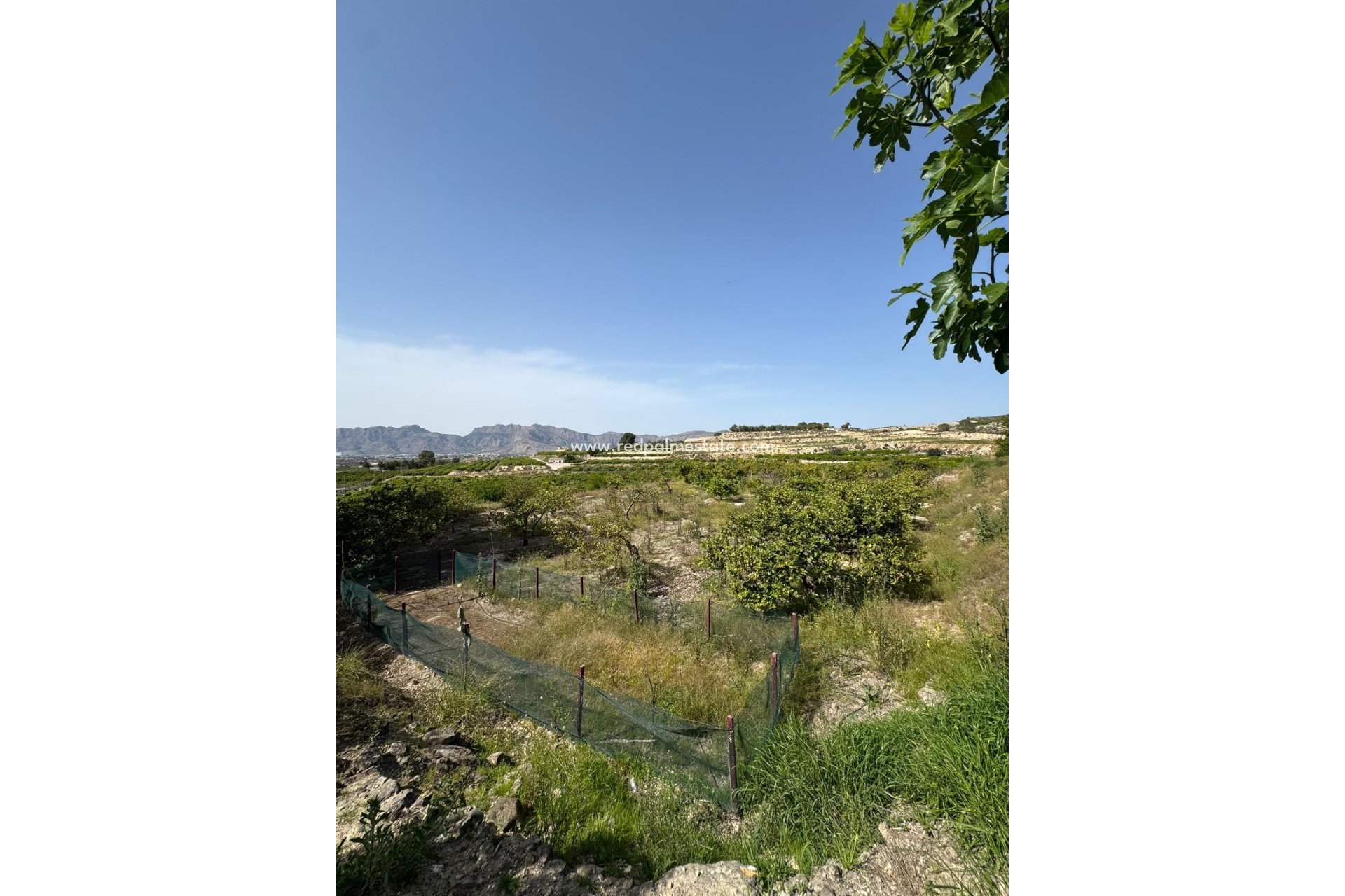 Revente - Finca / Propriété de campagne -
Orihuela - Arneva