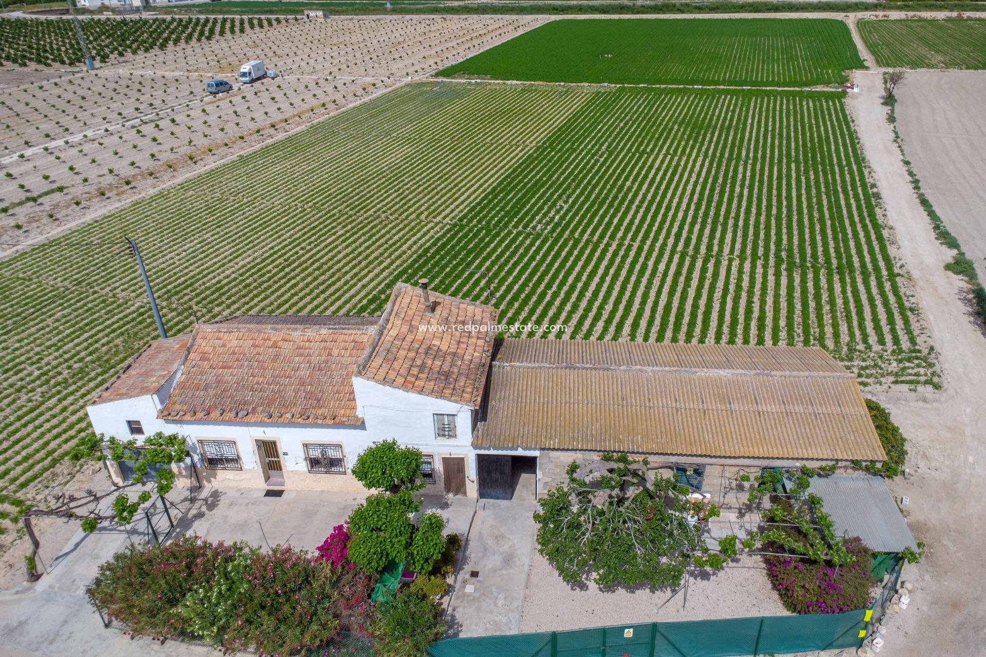 Revente - Finca / Propriété de campagne -
Orihuela Costa - Desamparados-hurchillo-torremendo