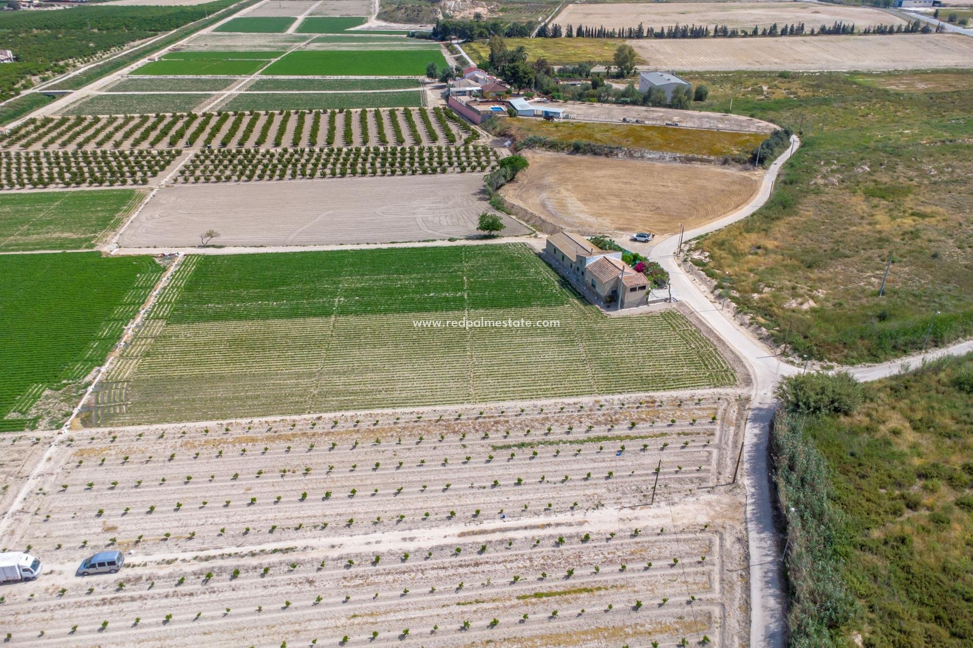 Revente - Finca / Propriété de campagne -
Orihuela Costa - Desamparados-hurchillo-torremendo