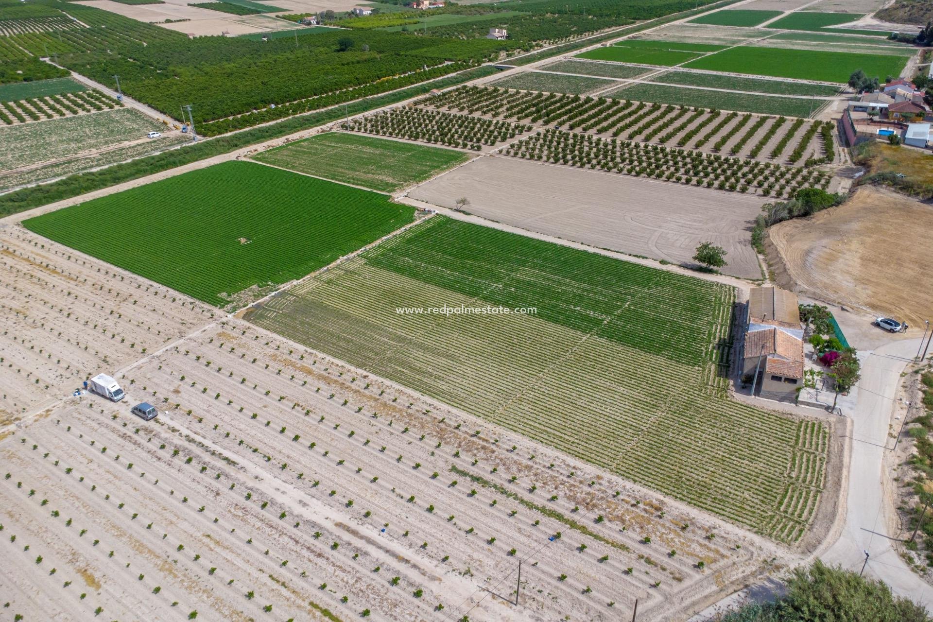 Revente - Finca / Propriété de campagne -
Orihuela Costa - Desamparados-hurchillo-torremendo