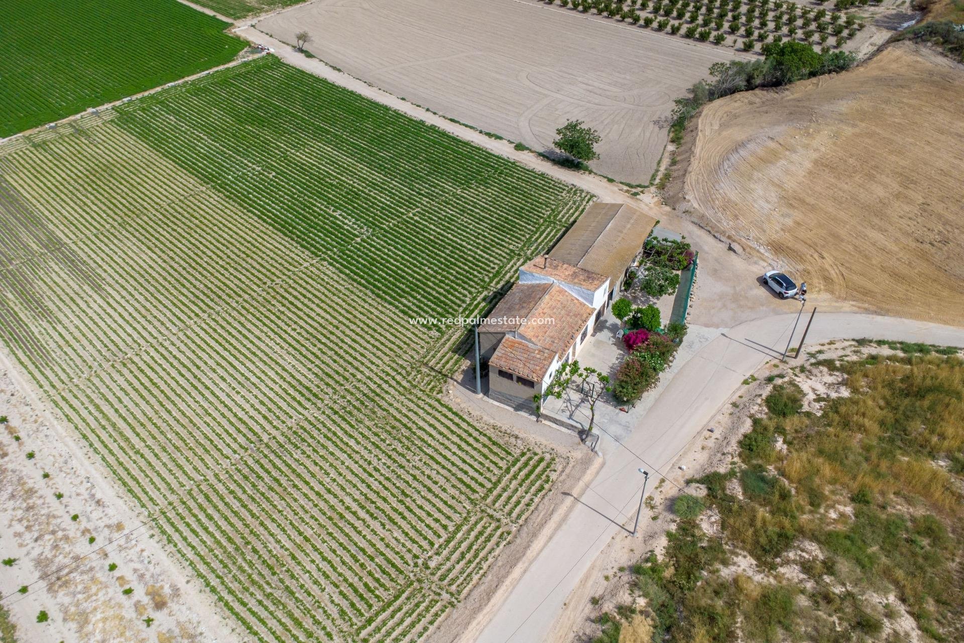 Revente - Finca / Propriété de campagne -
Orihuela Costa - Desamparados-hurchillo-torremendo