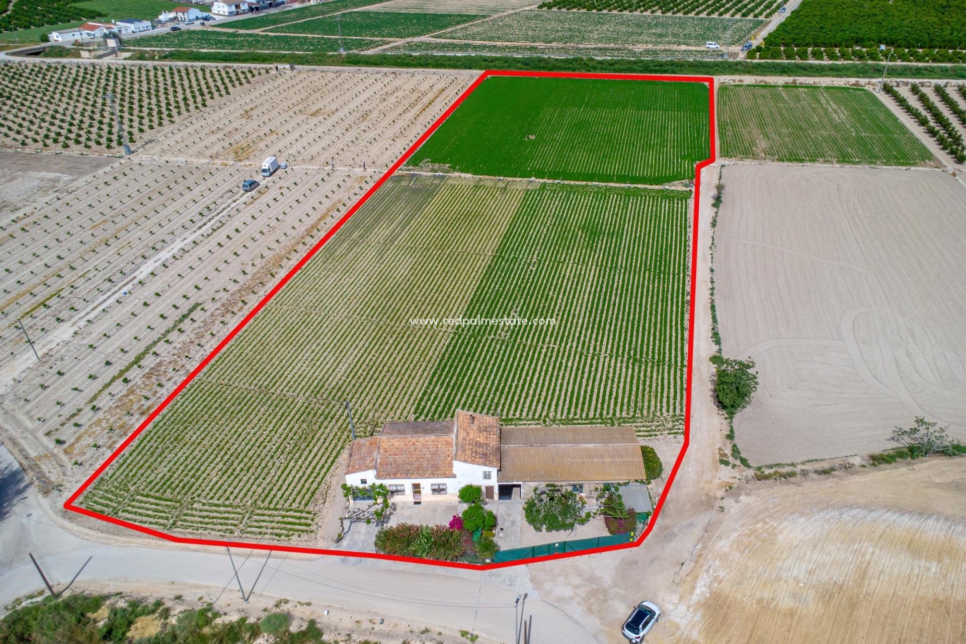 Revente - Finca / Propriété de campagne -
Orihuela Costa - Torremendo