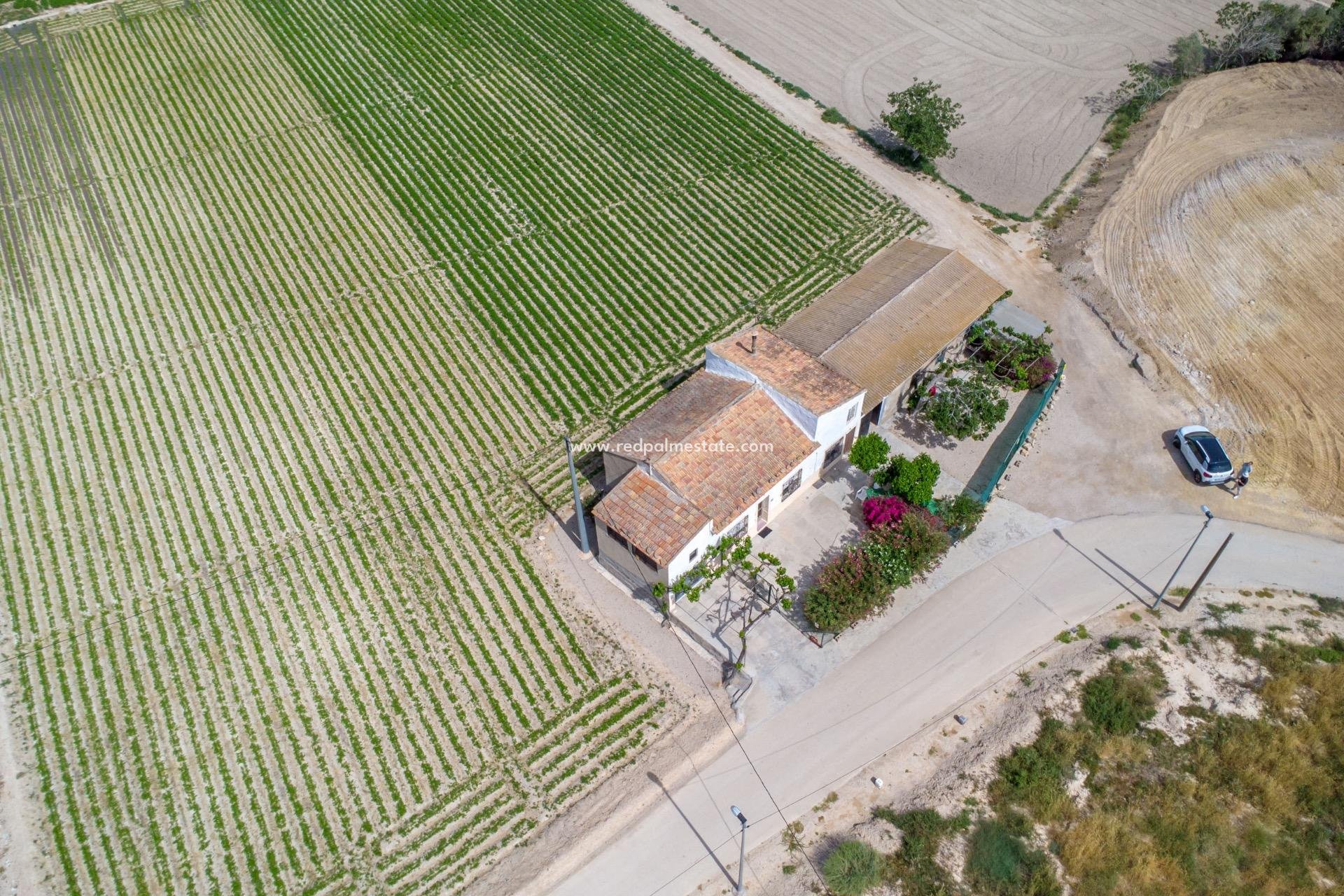 Revente - Finca / Propriété de campagne -
Orihuela Costa - Torremendo