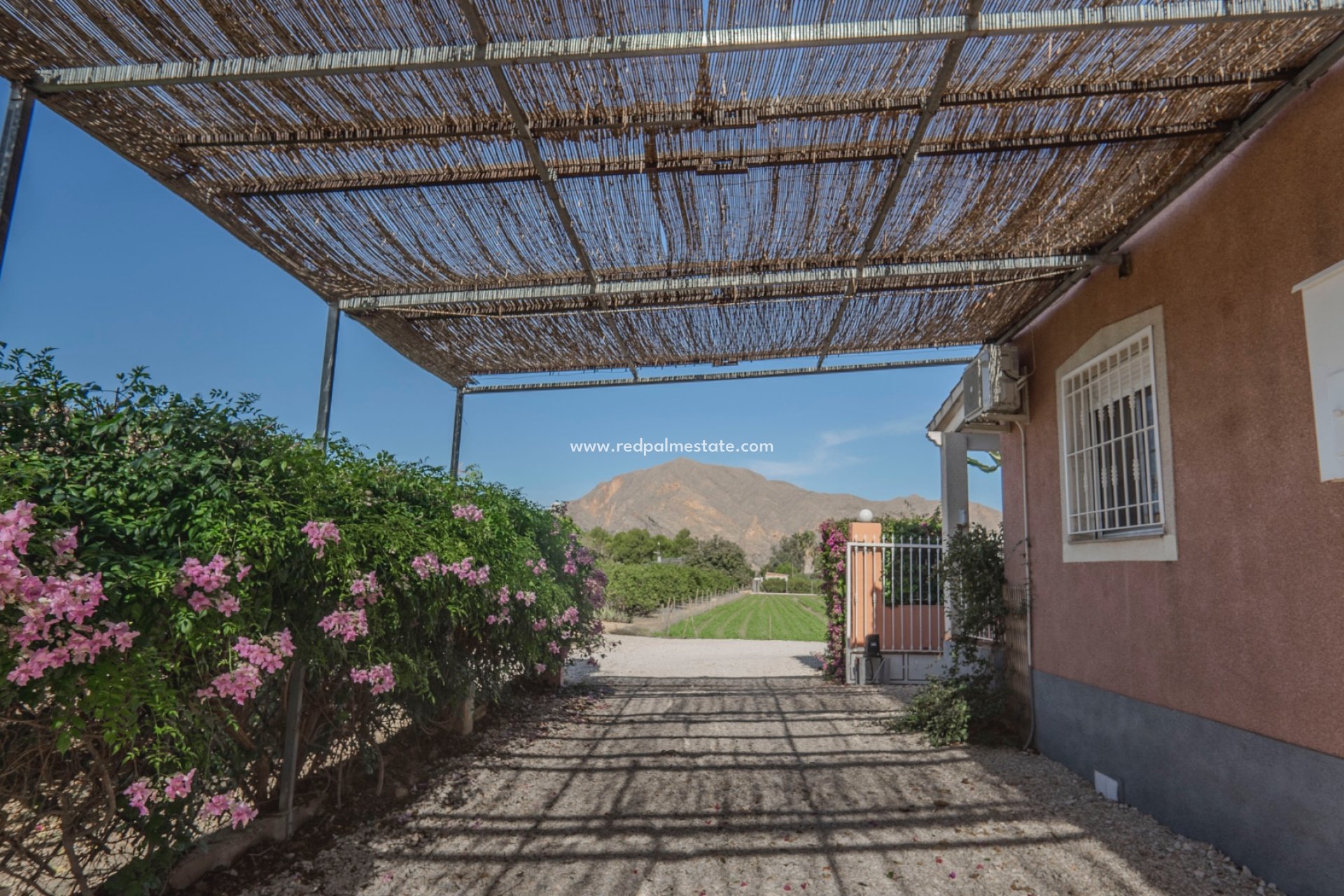 Revente - Finca / Propriété de campagne -
Orihuela