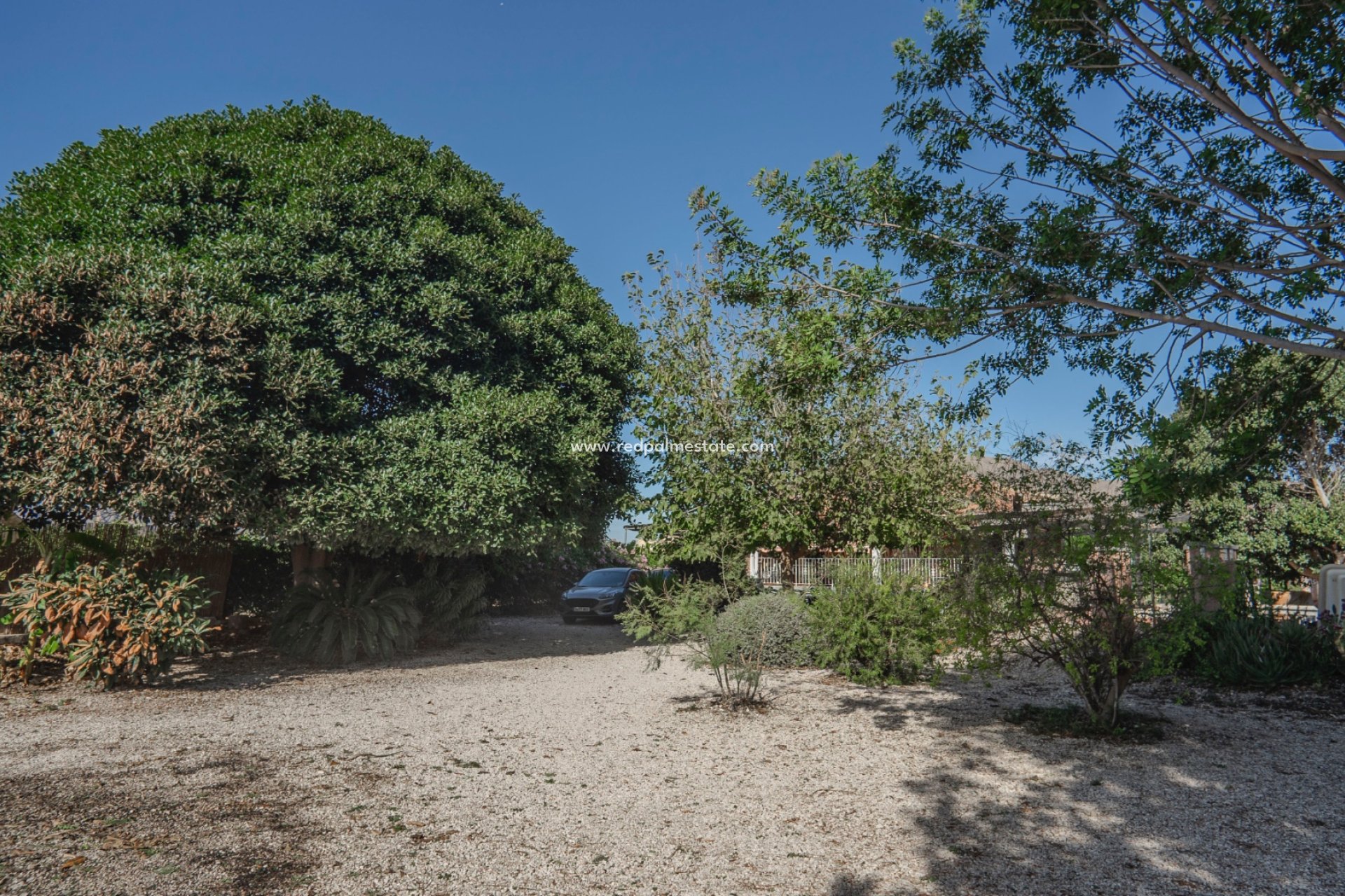 Revente - Finca / Propriété de campagne -
Orihuela