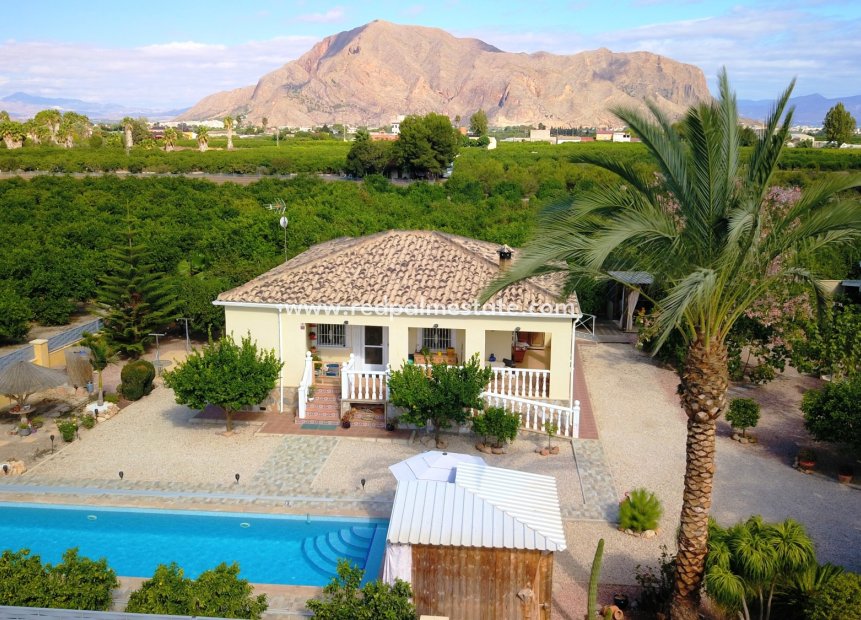 Revente - Finca / Propriété de campagne -
Orihuela