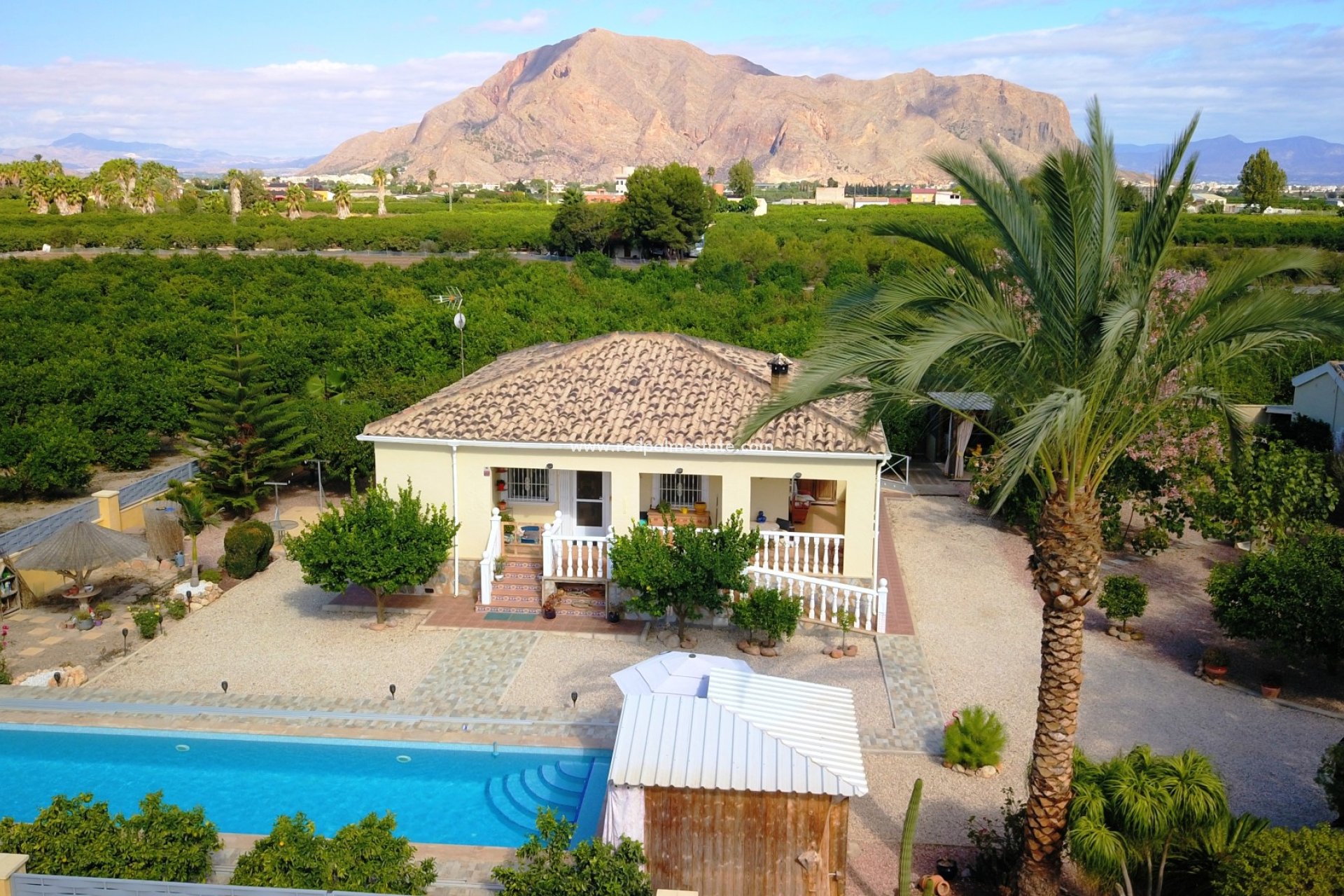 Revente - Finca / Propriété de campagne -
Orihuela