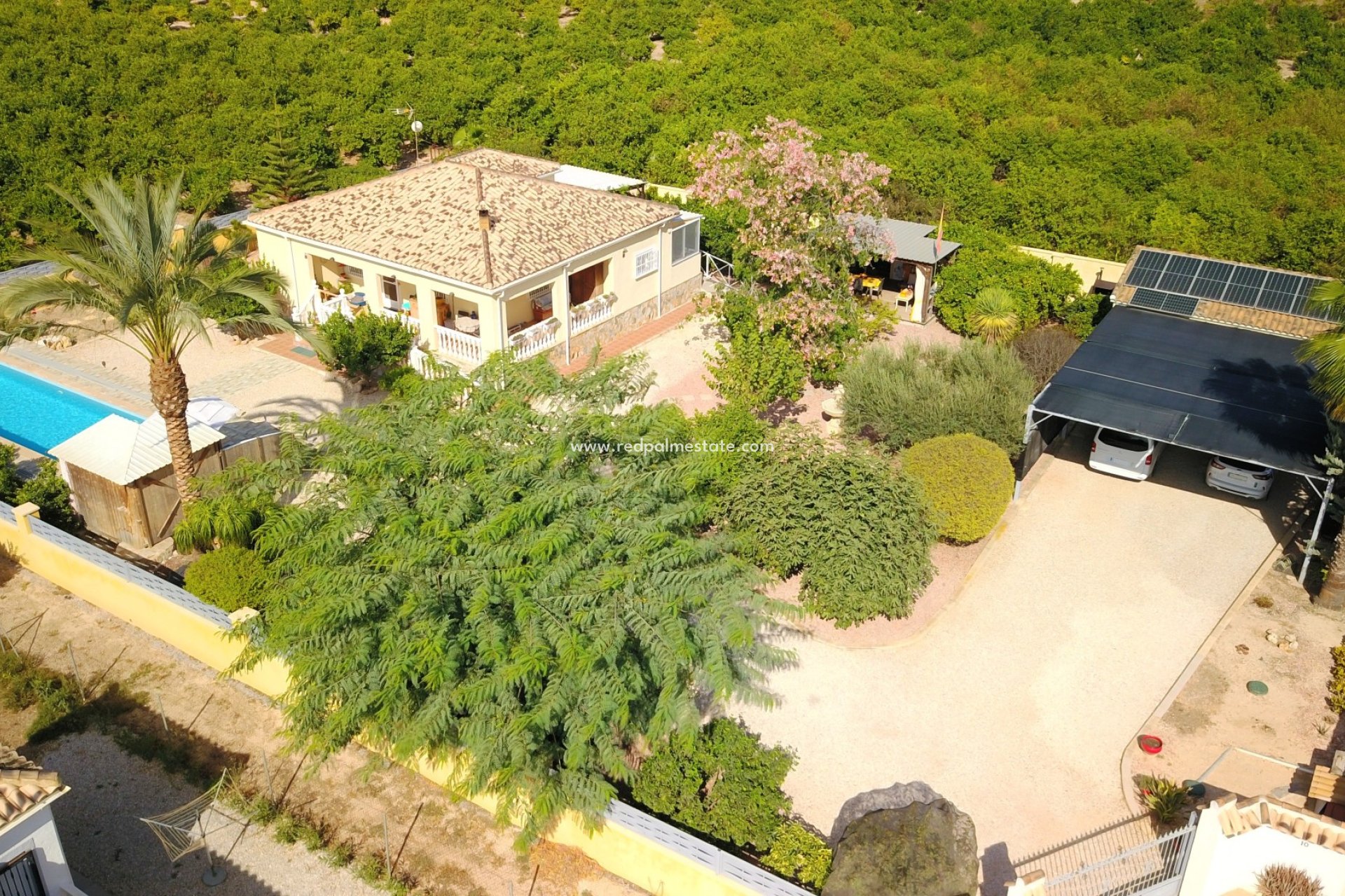 Revente - Finca / Propriété de campagne -
Orihuela