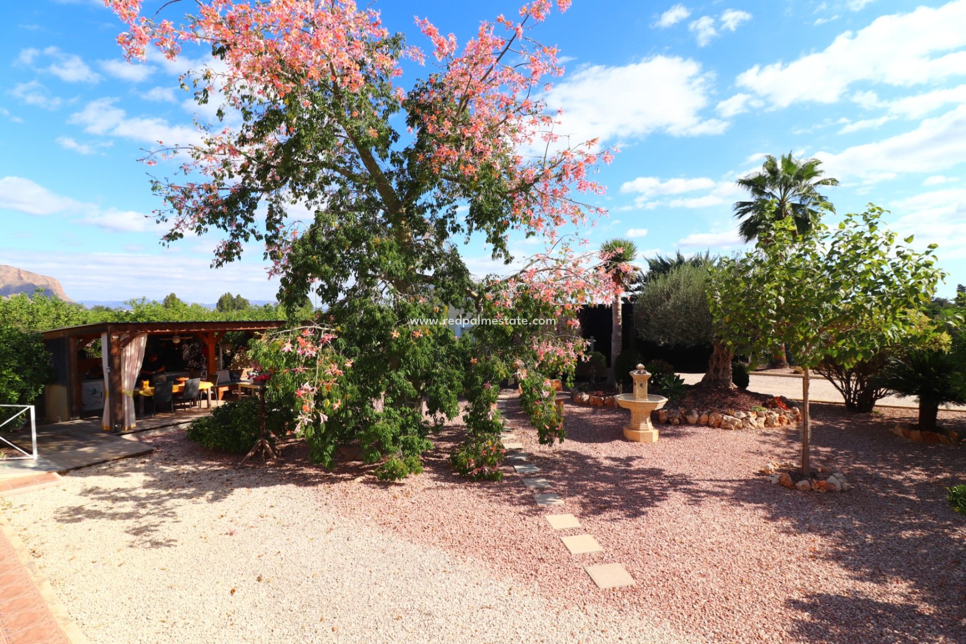 Revente - Finca / Propriété de campagne -
Orihuela