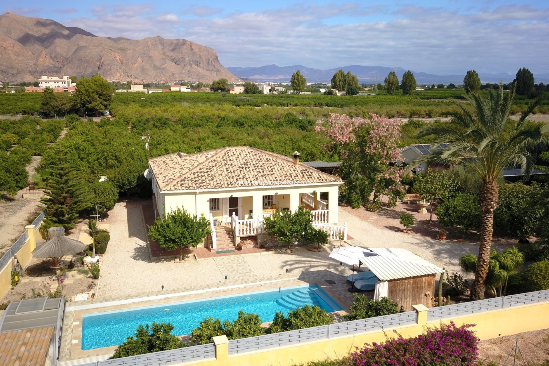 Revente - Finca / Propriété de campagne -
Orihuela