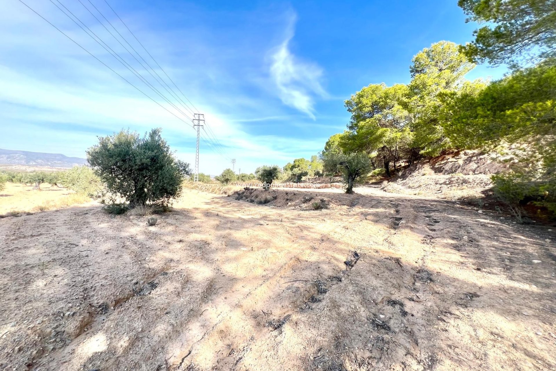 Revente - Finca / Propriété de campagne -
Pinoso - Inland