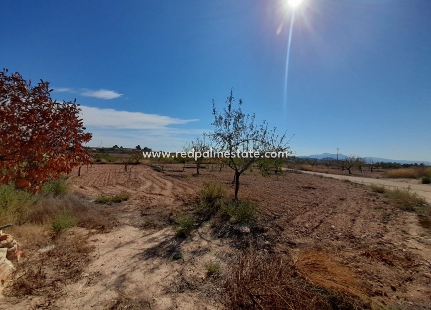 Revente - Finca / Propriété de campagne -
Pinoso - Inland