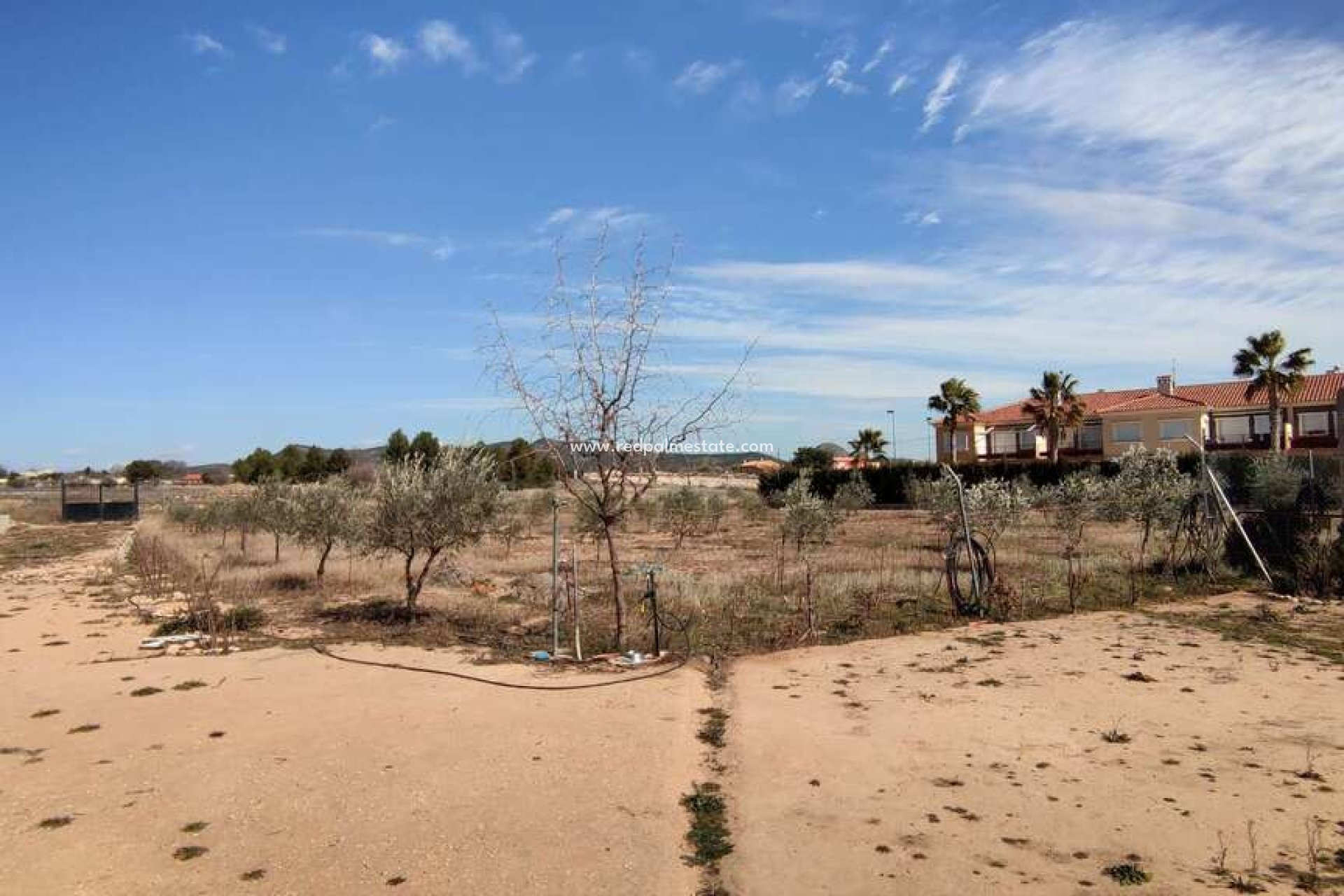 Revente - Finca / Propriété de campagne -
Pinoso - Inland