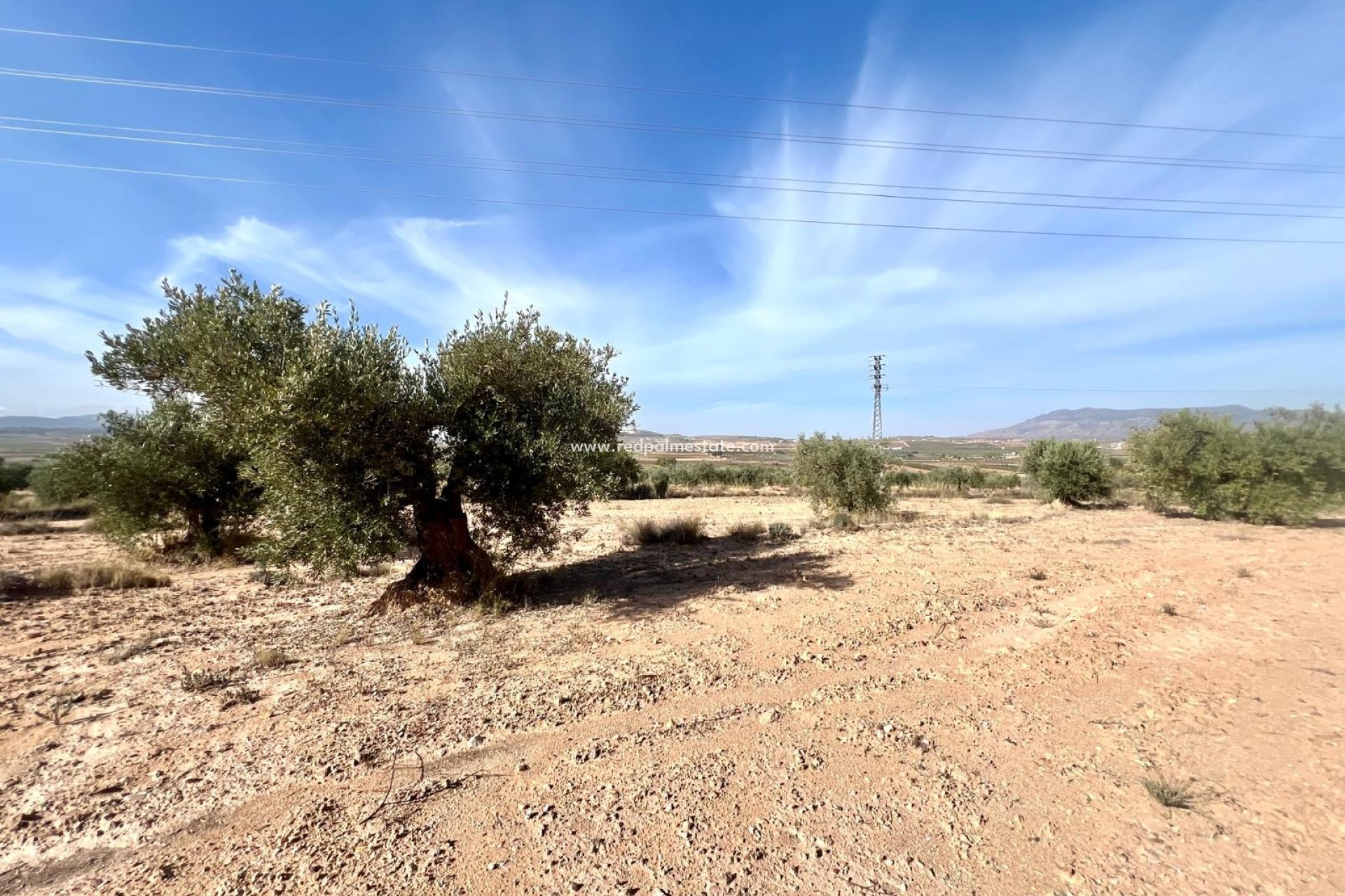 Revente - Finca / Propriété de campagne -
Pinoso - Inland