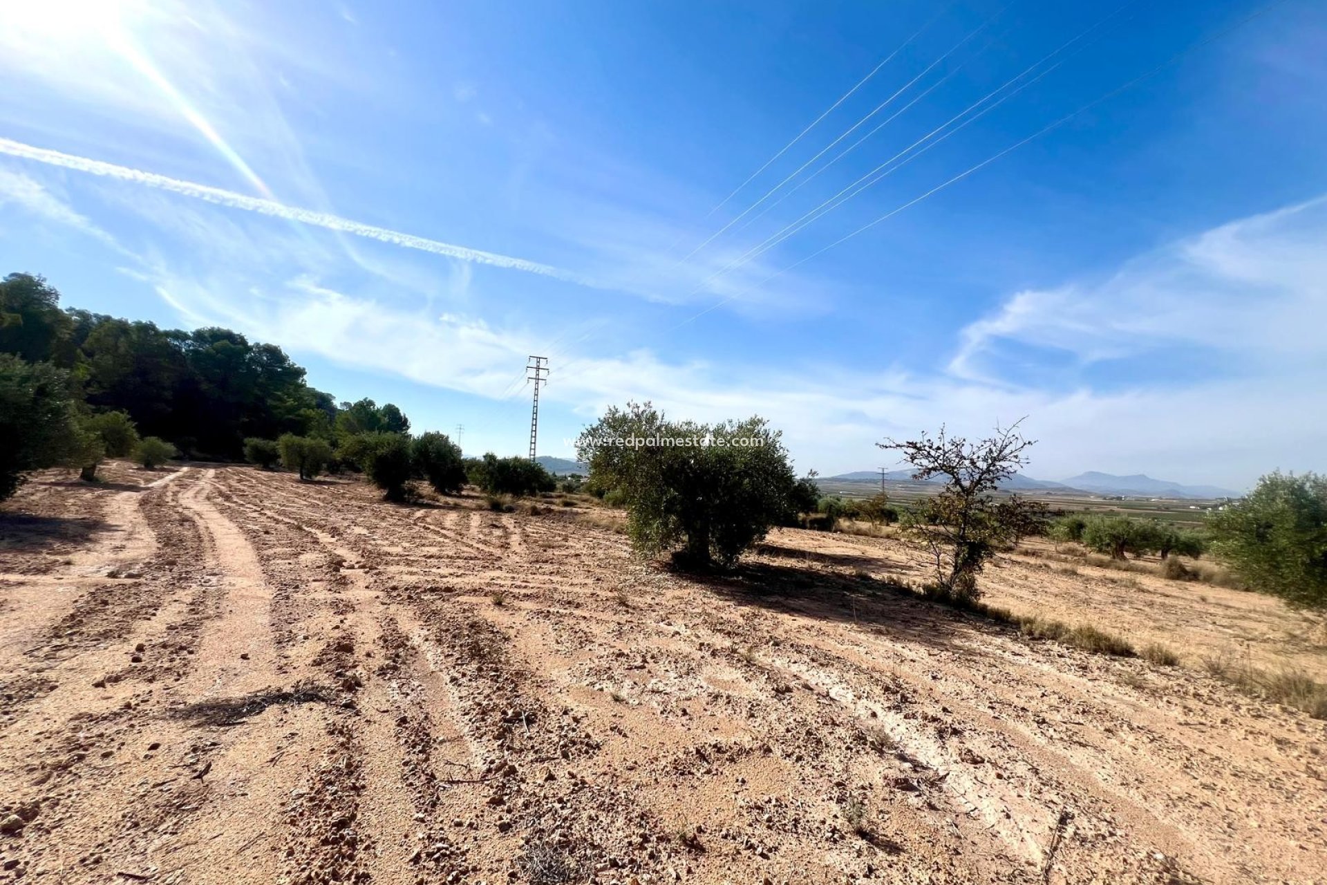 Revente - Finca / Propriété de campagne -
Pinoso - Inland
