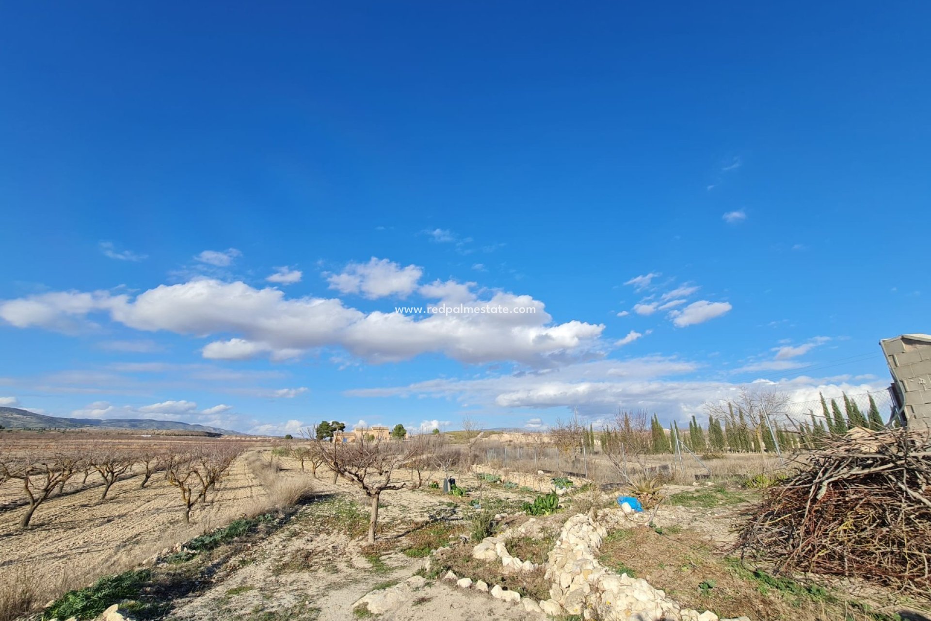 Revente - Finca / Propriété de campagne -
Pinoso - Inland