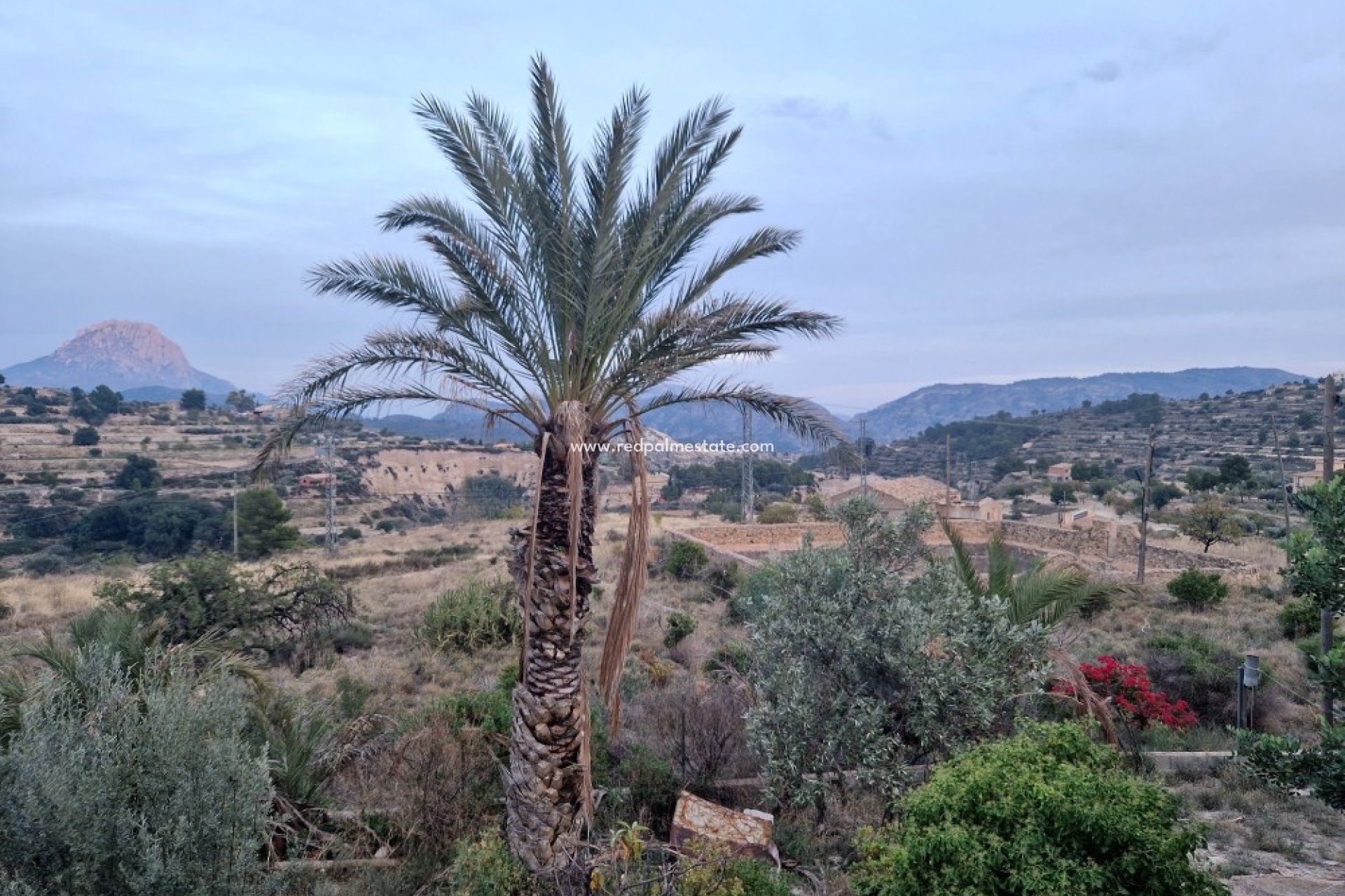 Revente - Finca / Propriété de campagne -
Relleu - Inland