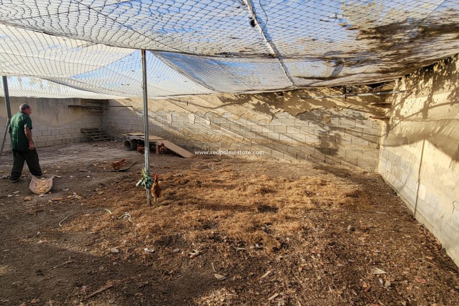 Revente - Finca / Propriété de campagne -
San Miguel de Salinas - San Miguel Salinas