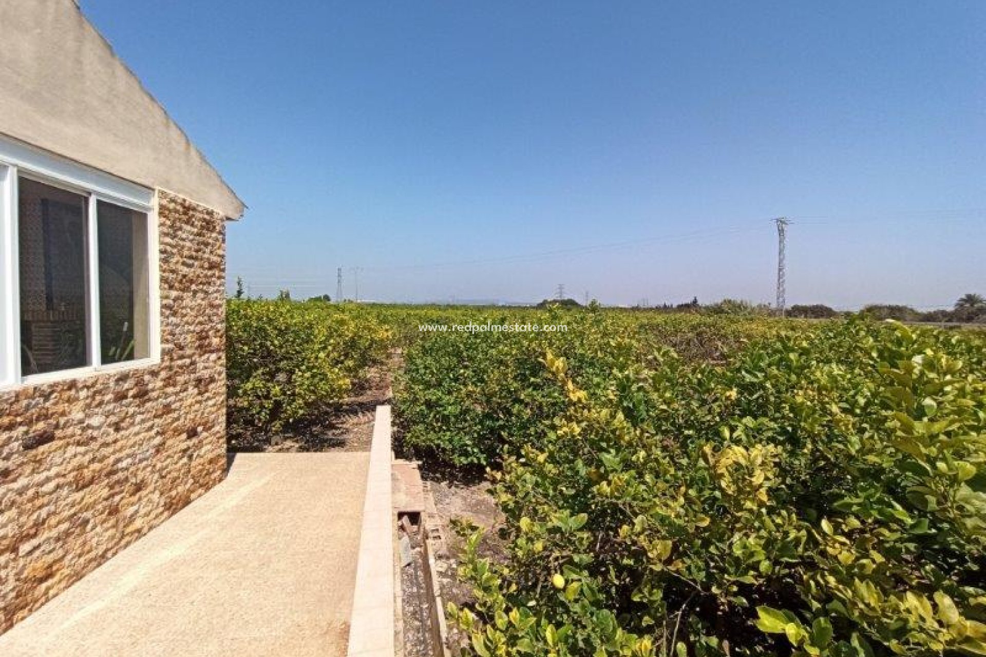 Revente - Finca / Propriété de campagne -
San Miguel de Salinas - San Miguel Salinas