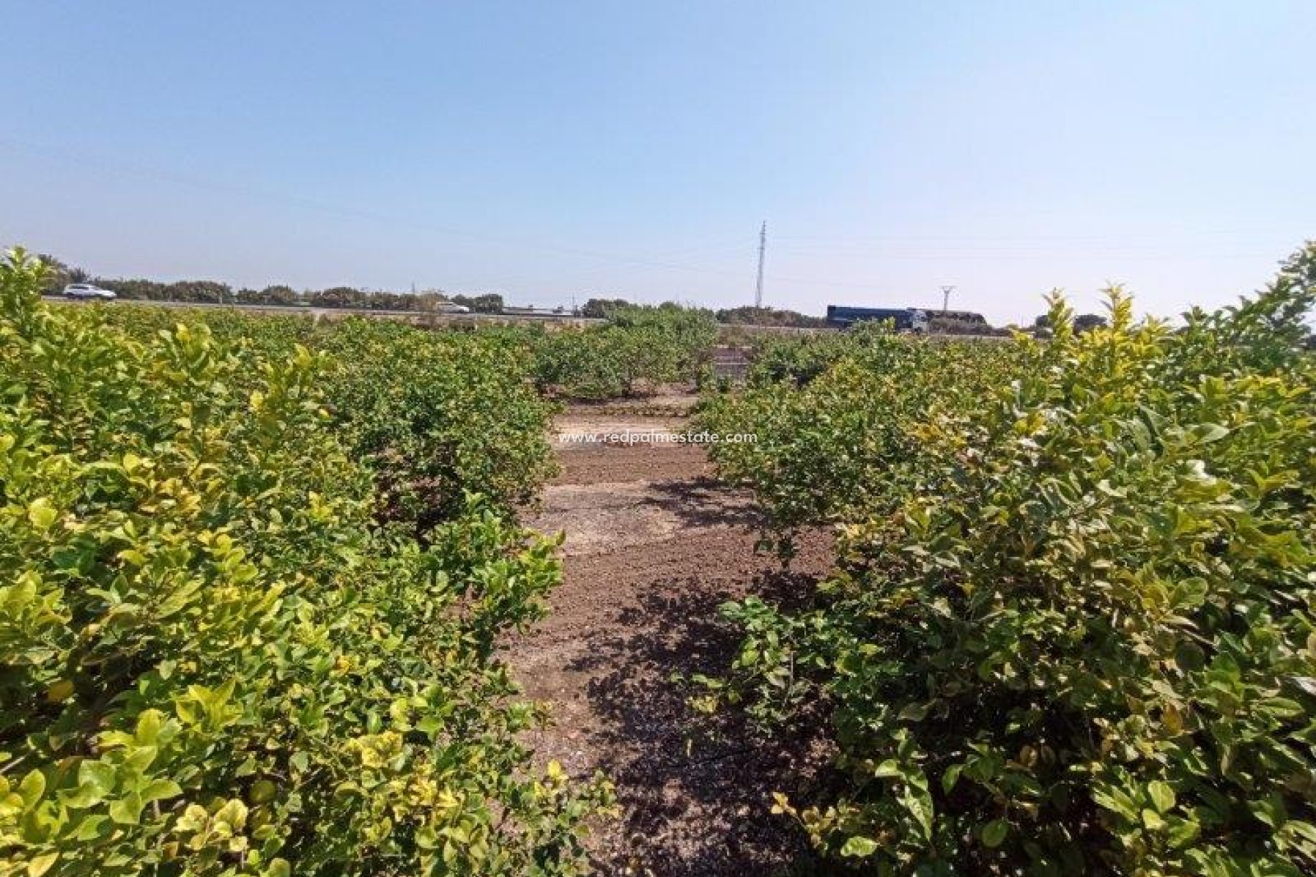 Revente - Finca / Propriété de campagne -
San Miguel de Salinas - San Miguel Salinas