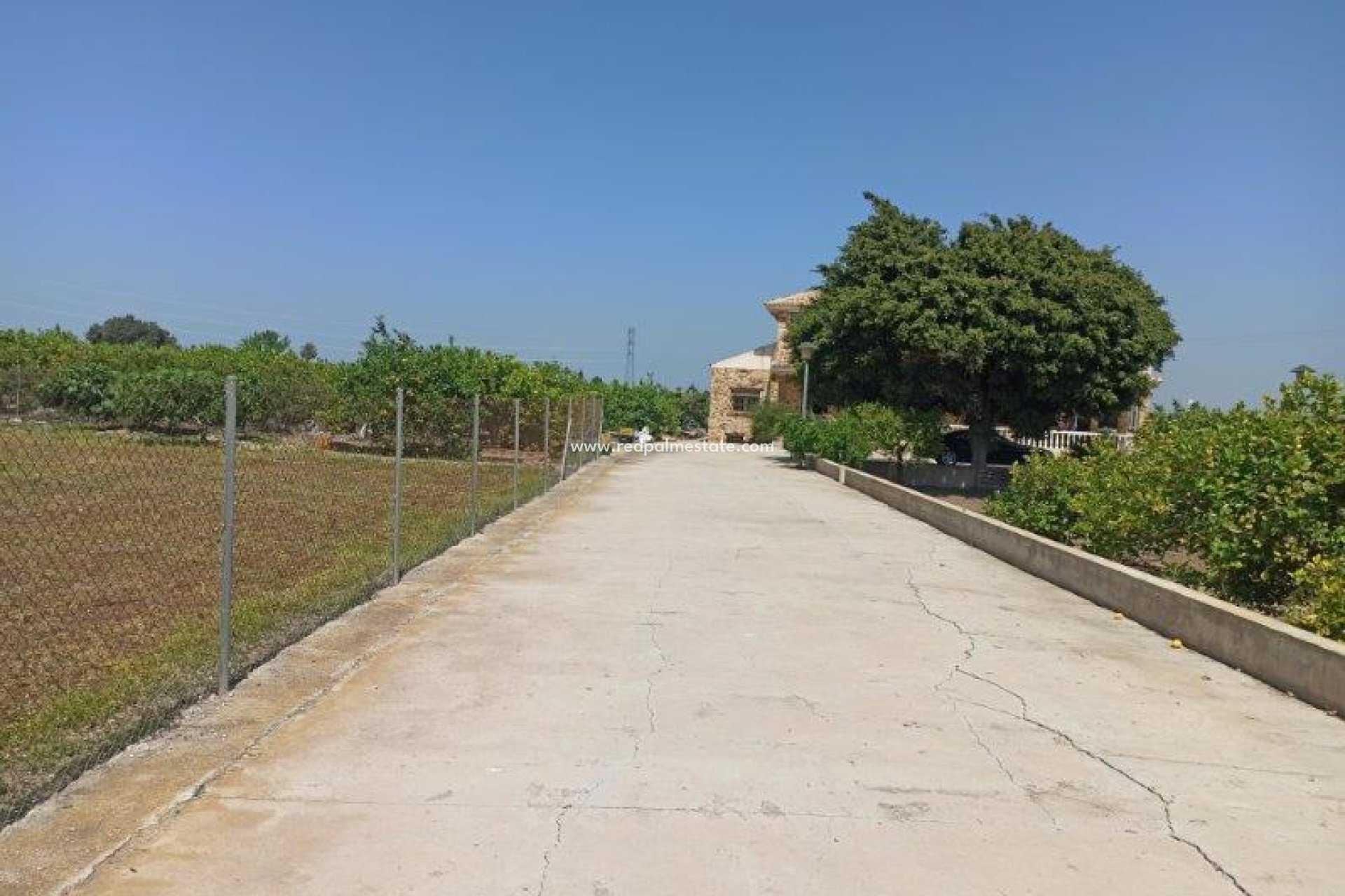 Revente - Finca / Propriété de campagne -
San Miguel de Salinas - San Miguel Salinas