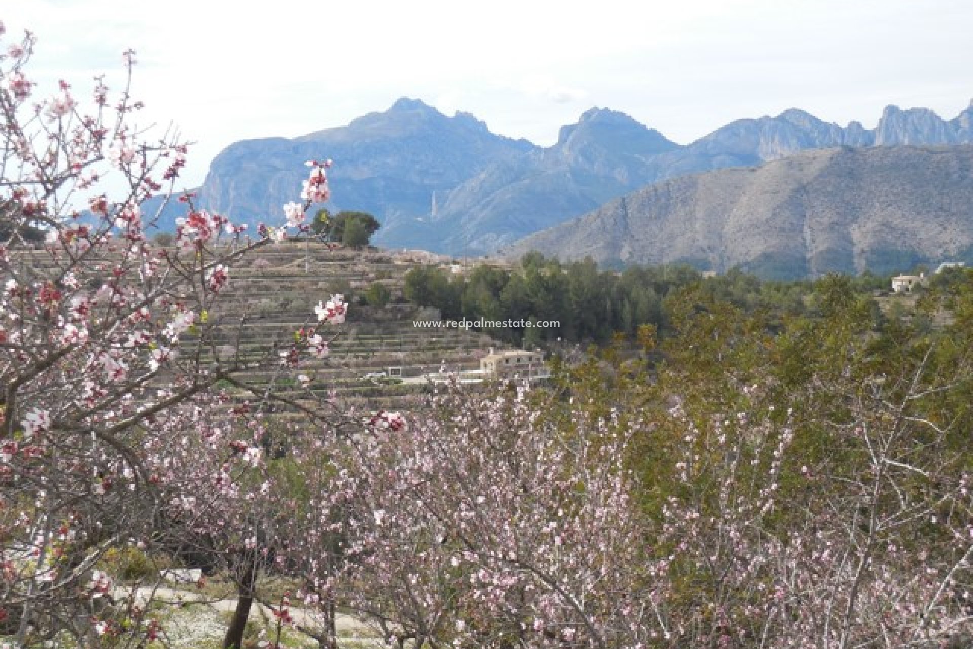 Revente - Finca / Propriété de campagne -
Tárbena - Inland