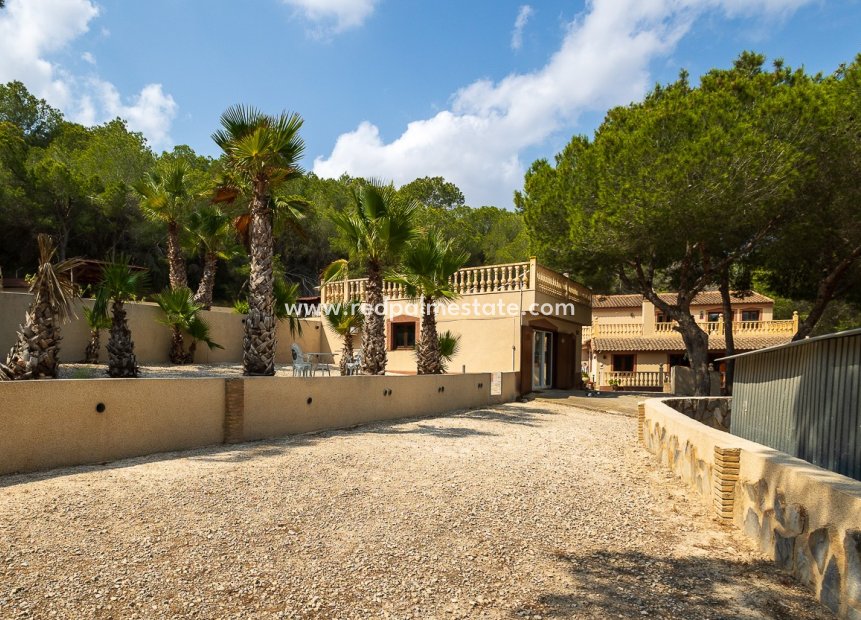 Revente - Finca / Propriété de campagne -
Torremendo - Costa Blanca