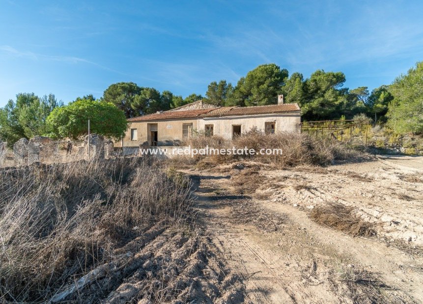 Revente - Maison de campagne -
Pilar de la Horadada - Pinar de la Perdiz