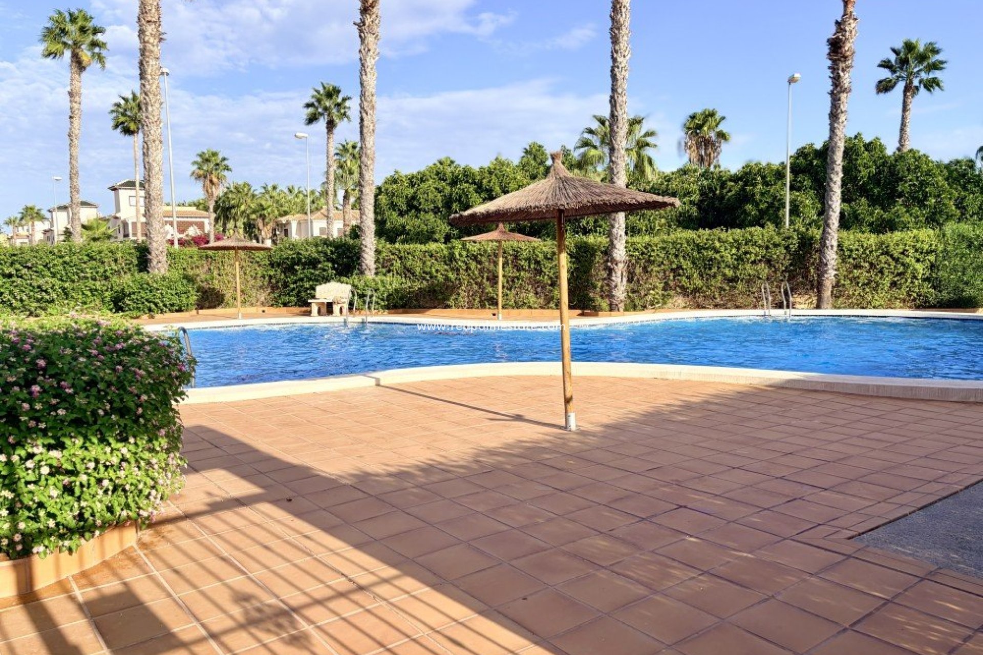 Revente - Maison de ville -
Ciudad Quesada/Rojales - Ciudad Quesada